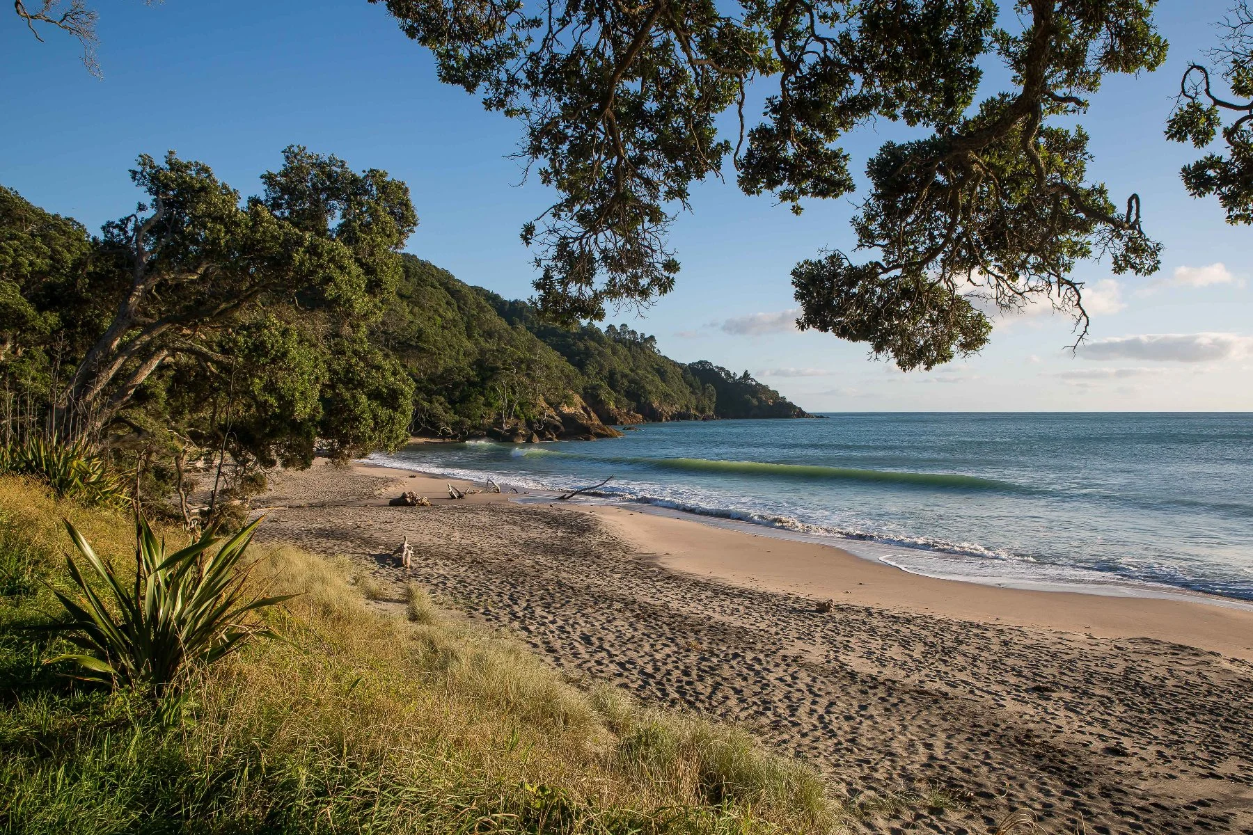 Orokawa Bay,d-111.jpg