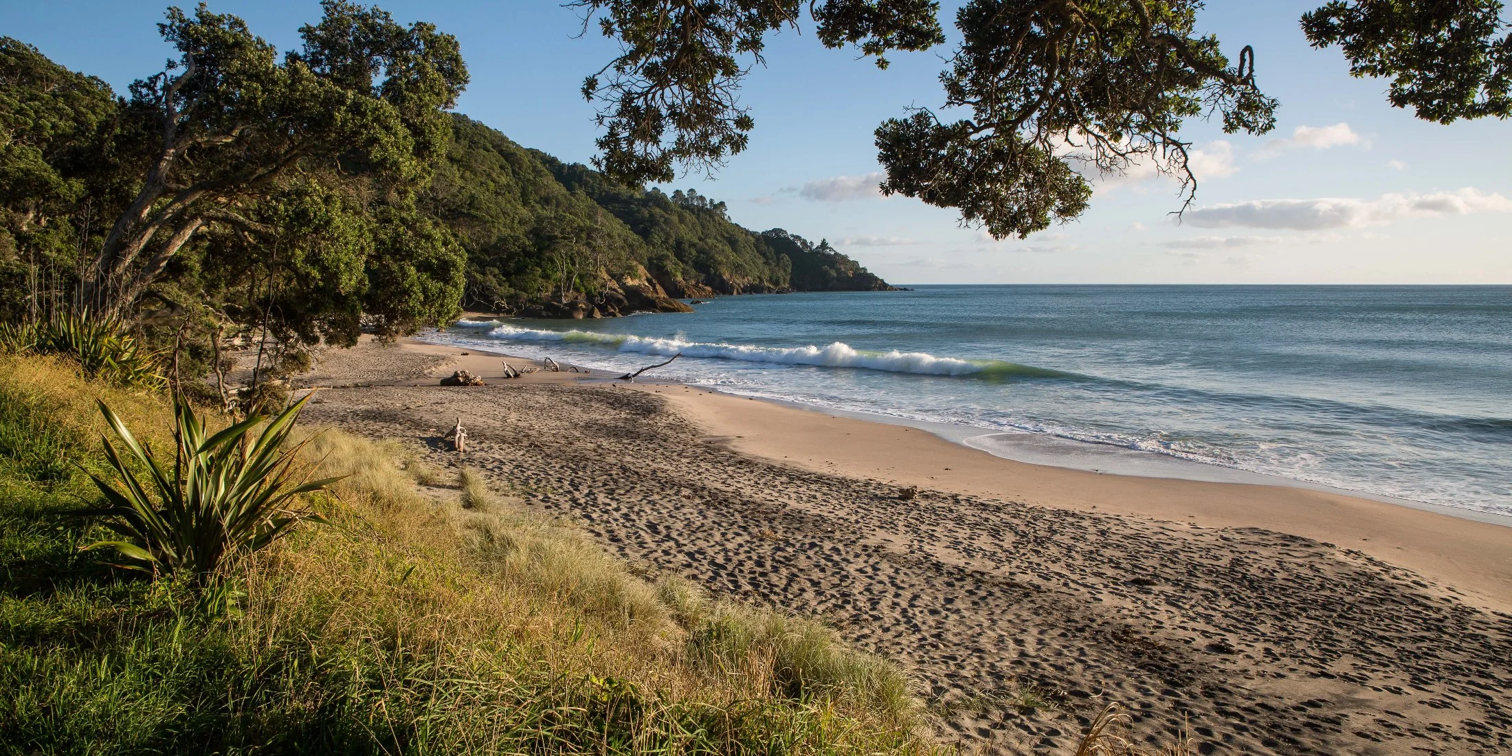 Orokawa Bay,d-112.jpg