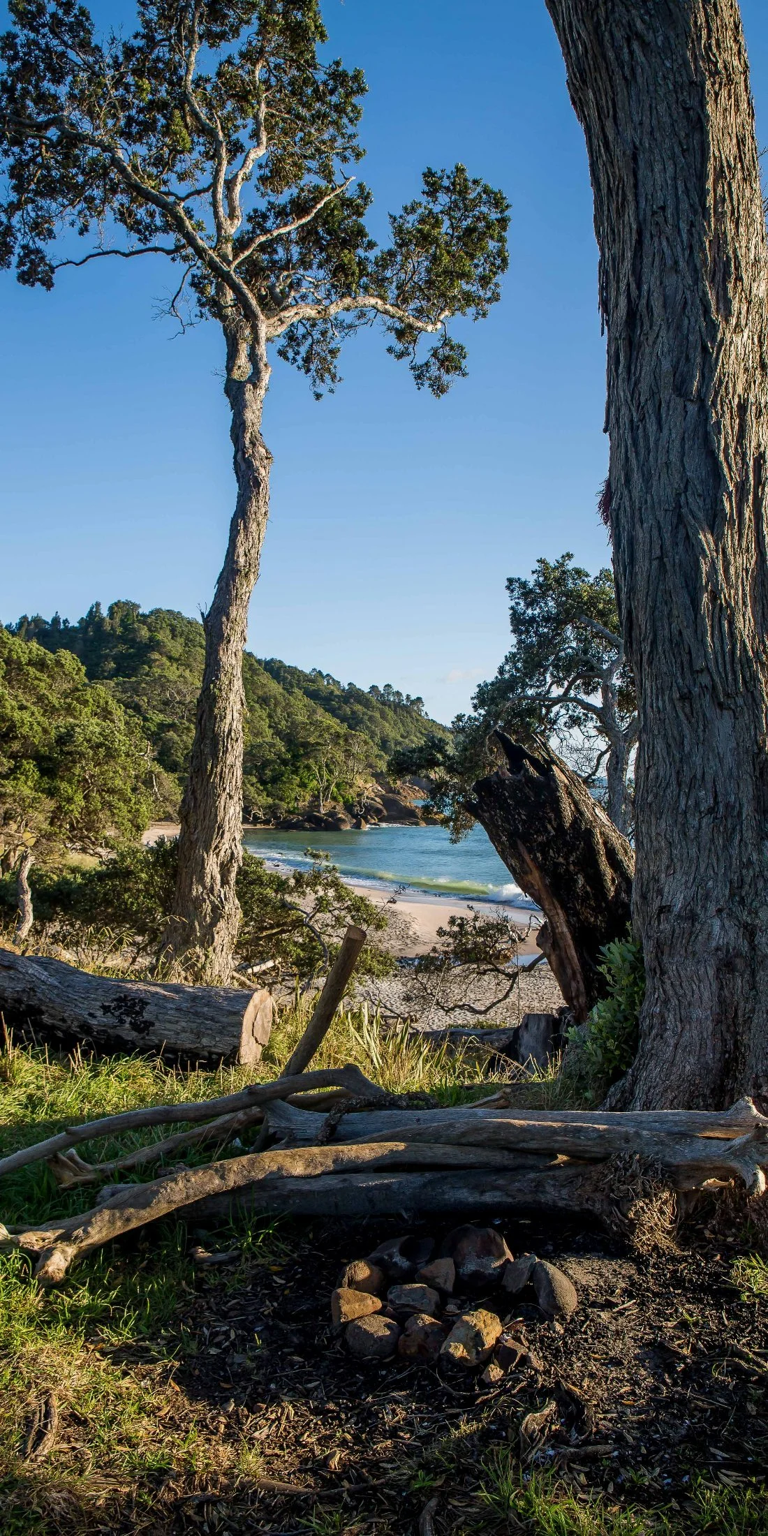 Orokawa Bay,d-119.jpg