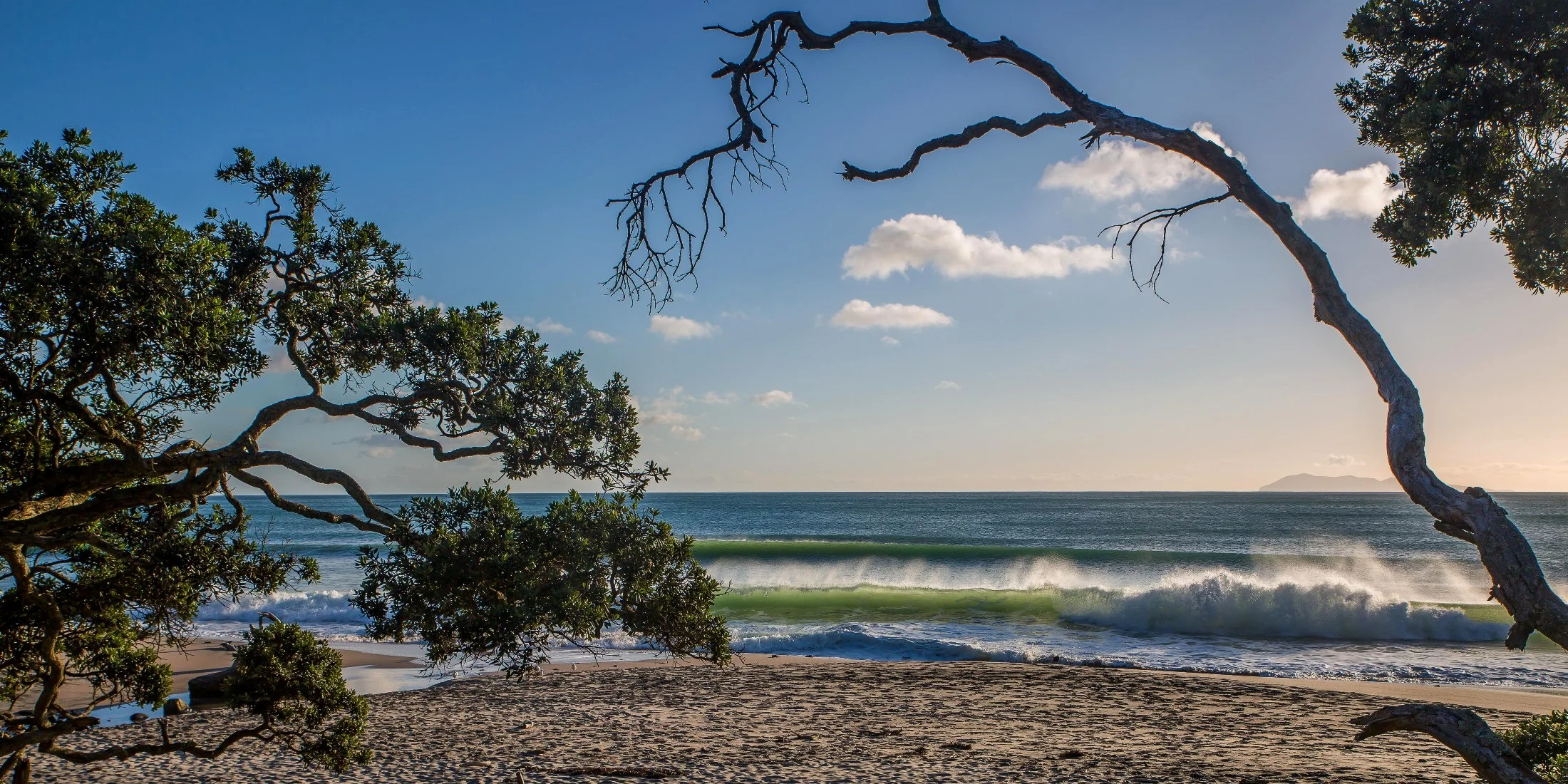 Orokawa Bay,d-126.jpg