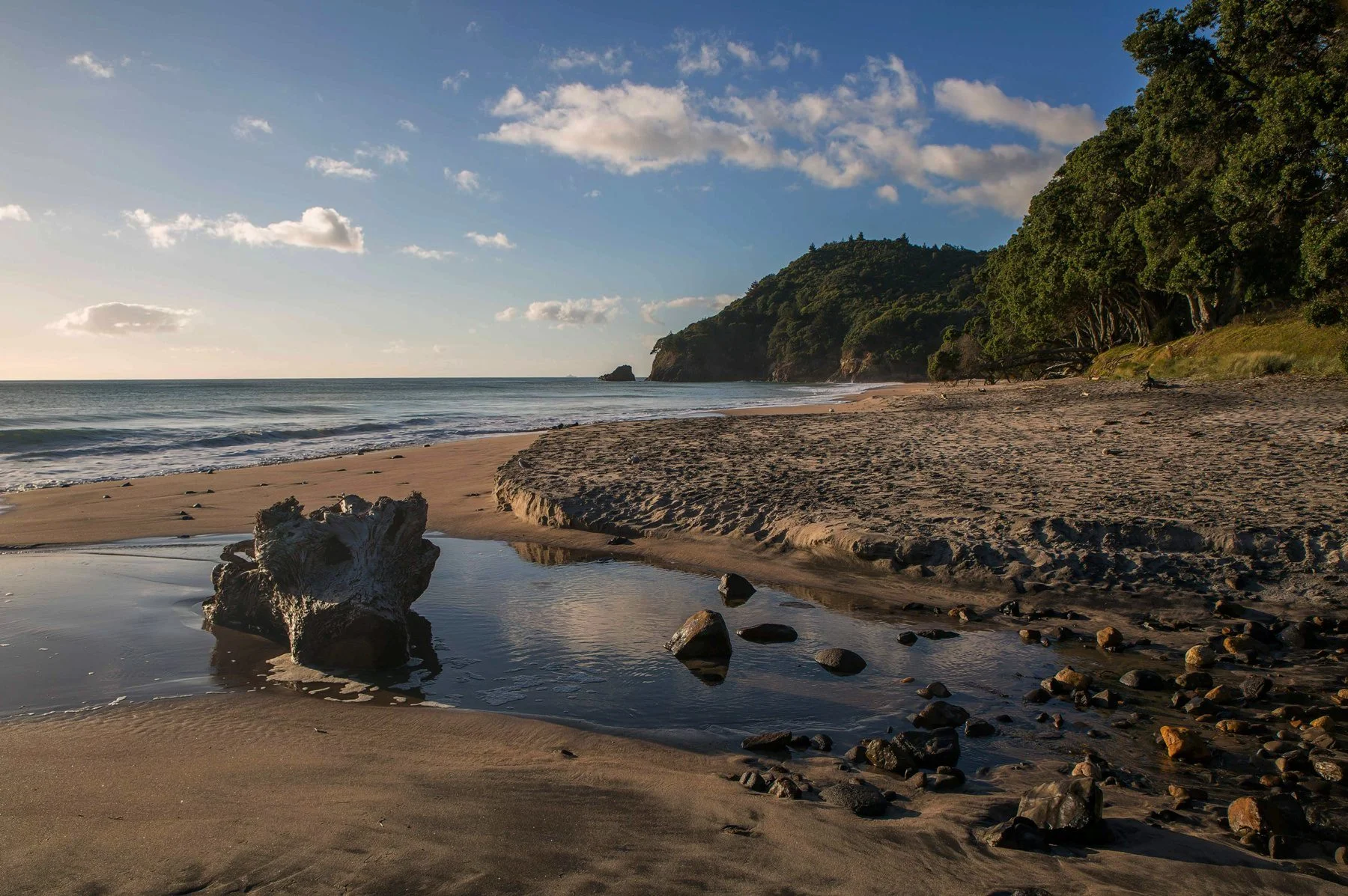 Orokawa Bay,d-141.jpg