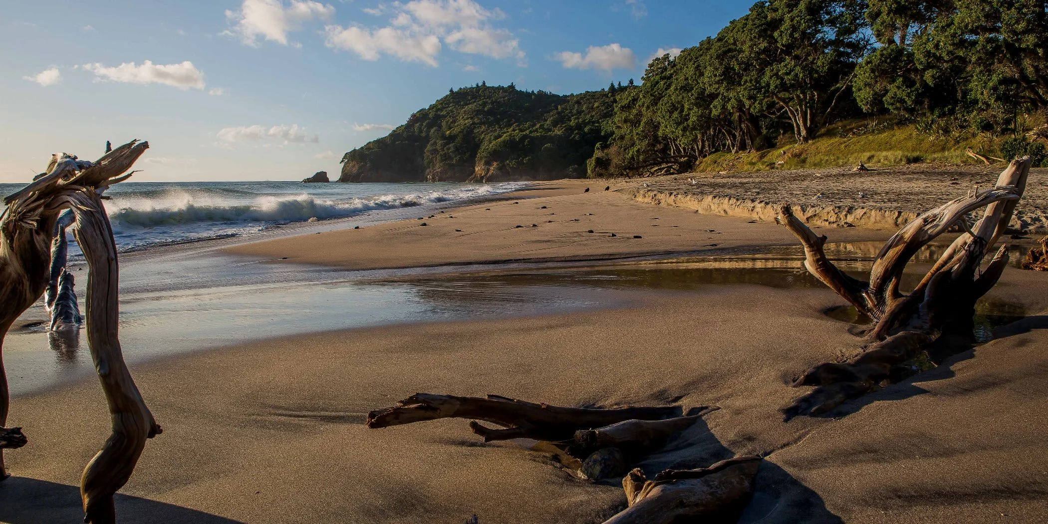 Orokawa Bay,d-135.jpg