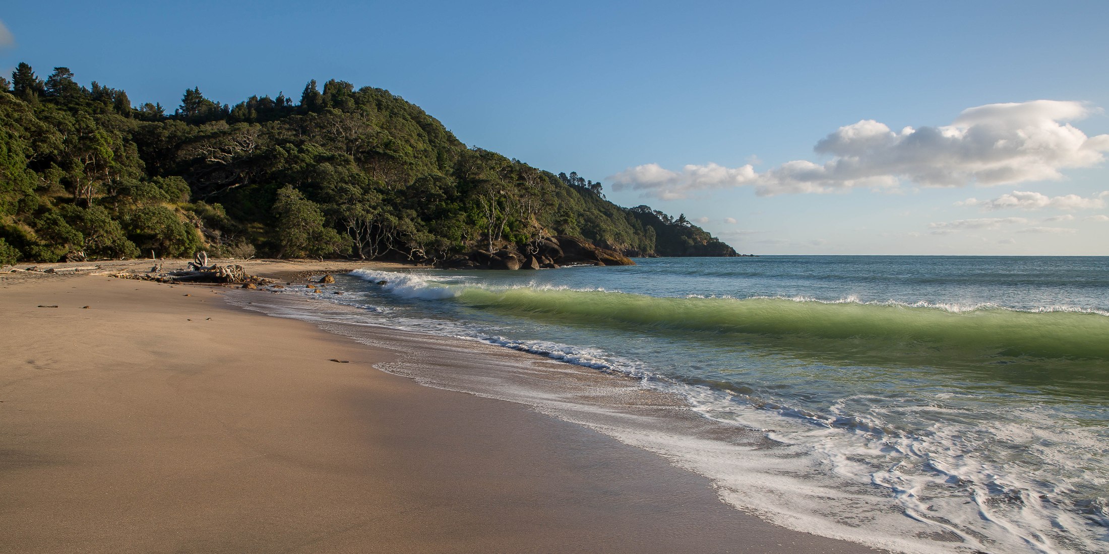 Orokawa Bay,d-144.jpg