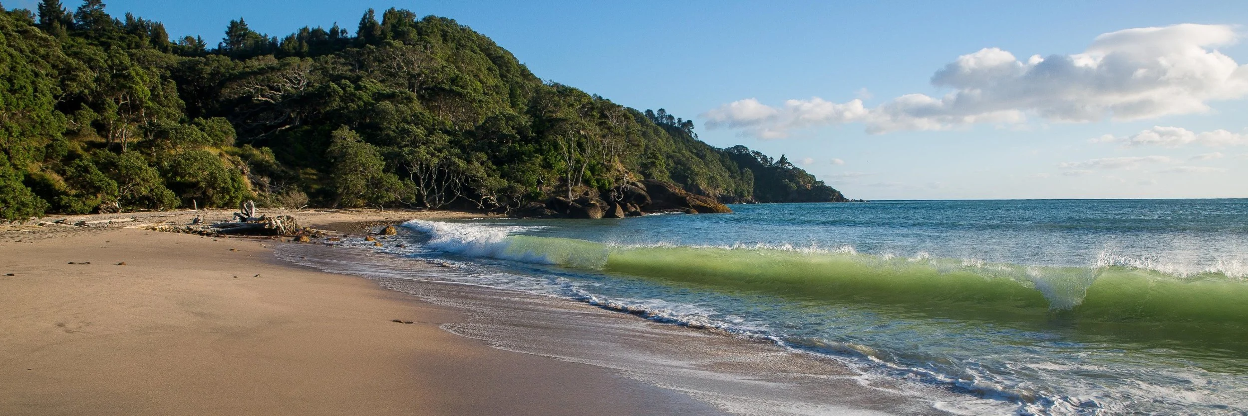 Orokawa Bay,d-145.jpg