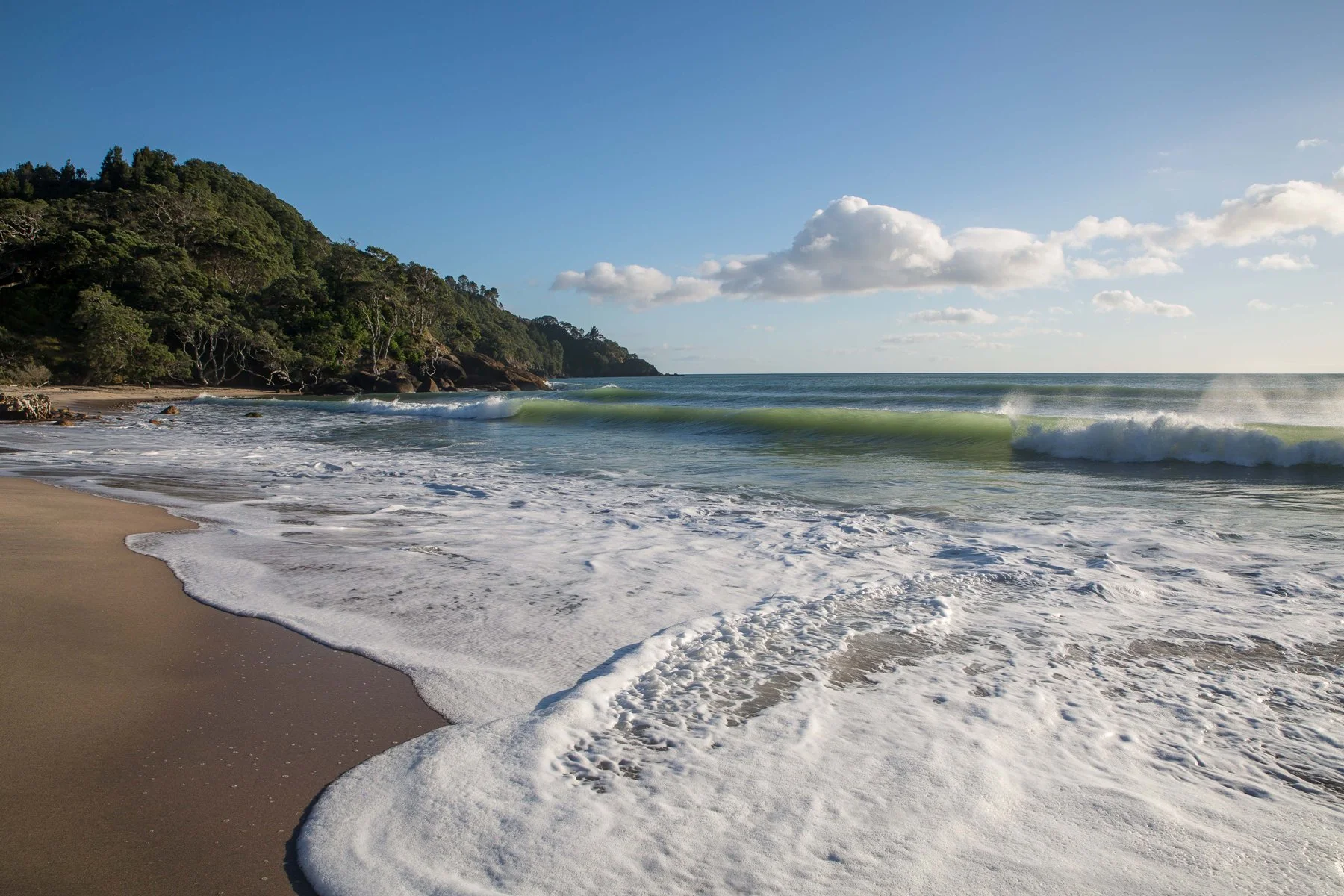 Orokawa Bay,d-160.jpg