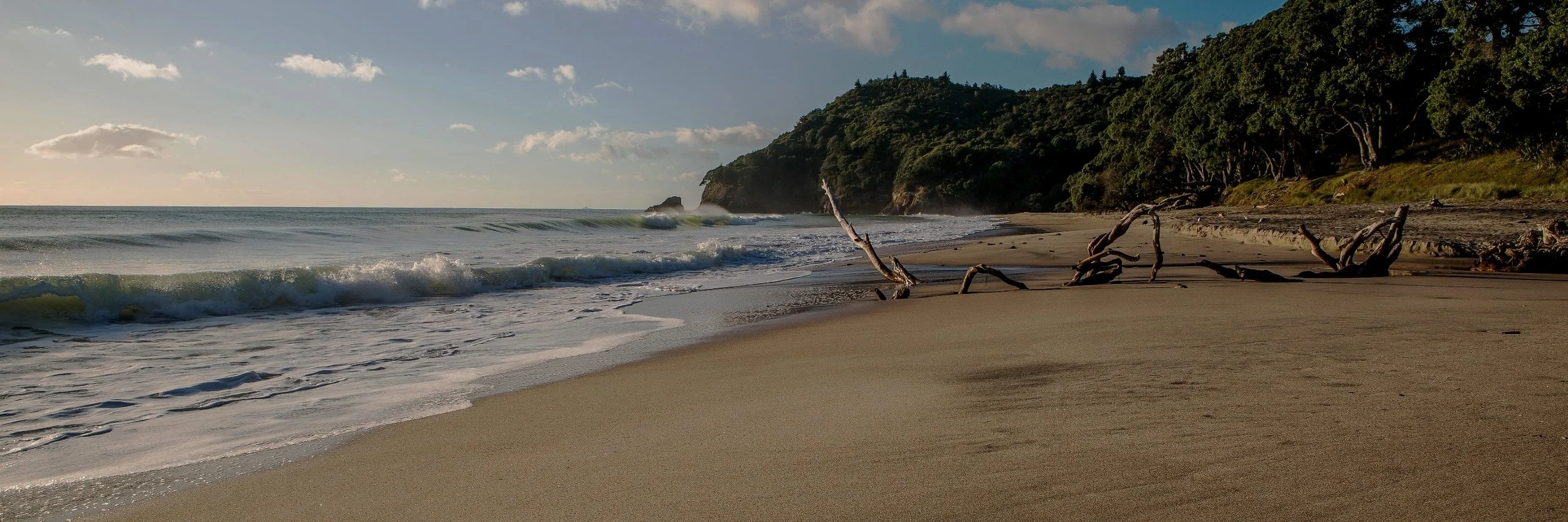 Orokawa Bay,d-152.jpg