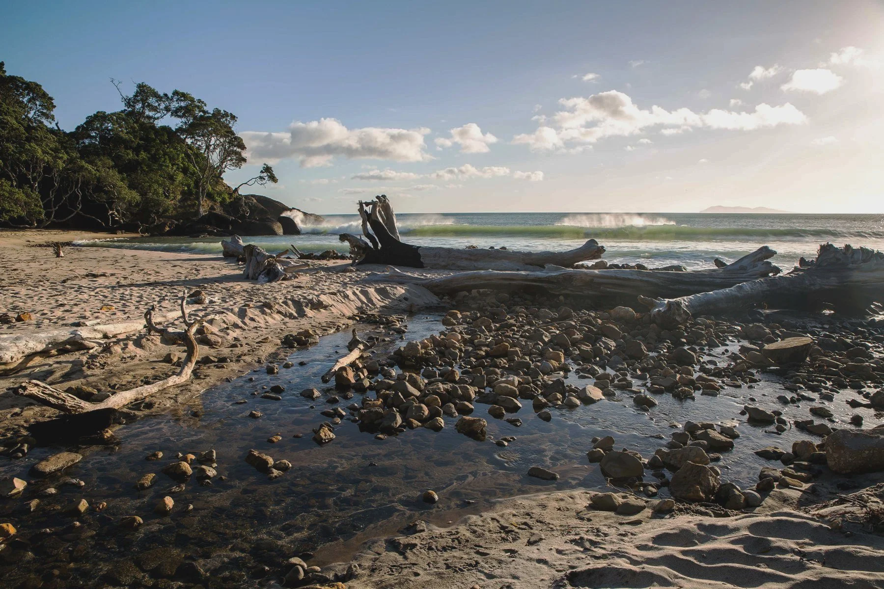 Orokawa Bay,d-172.jpg