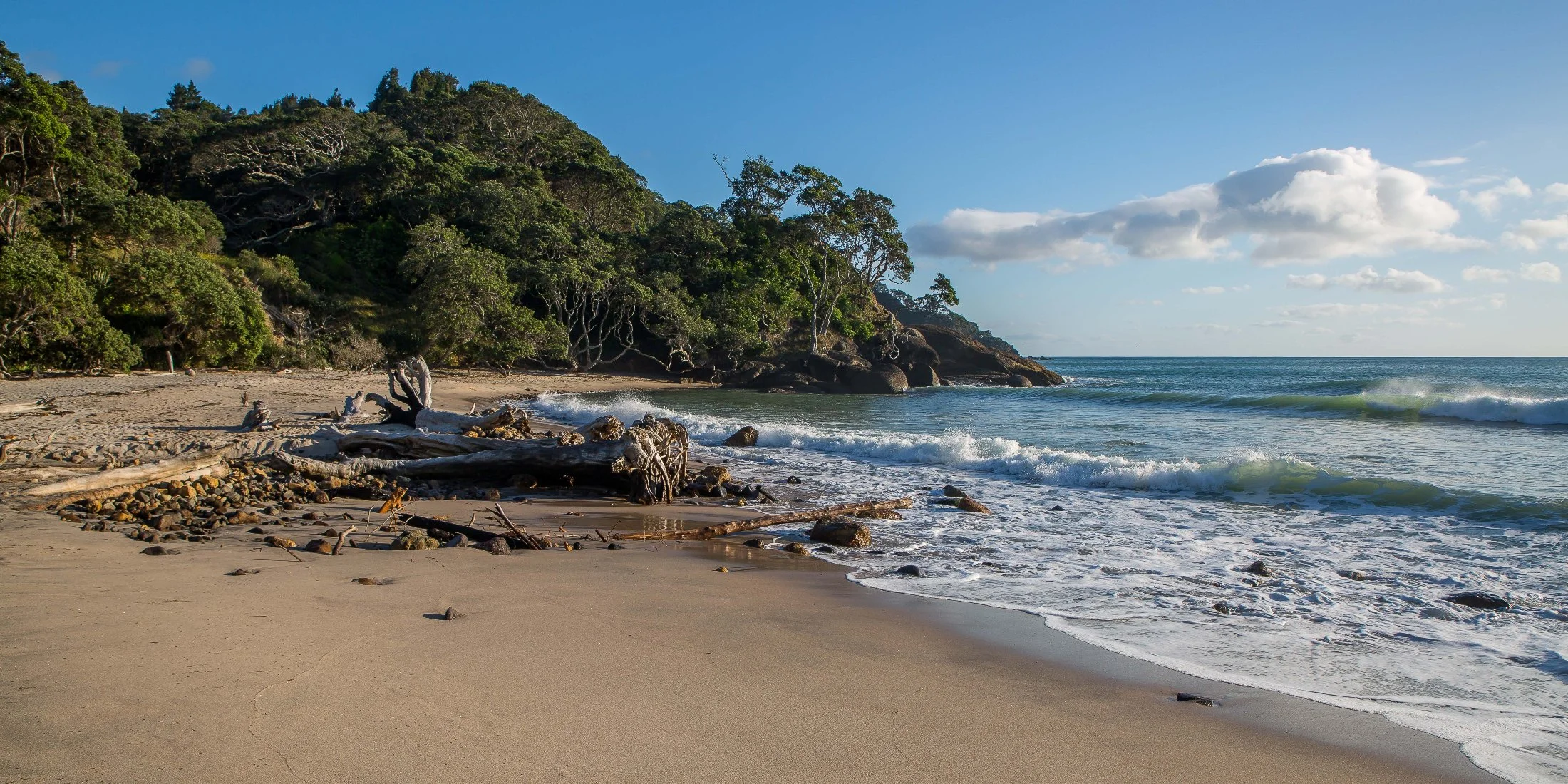 Orokawa Bay,d-167.jpg