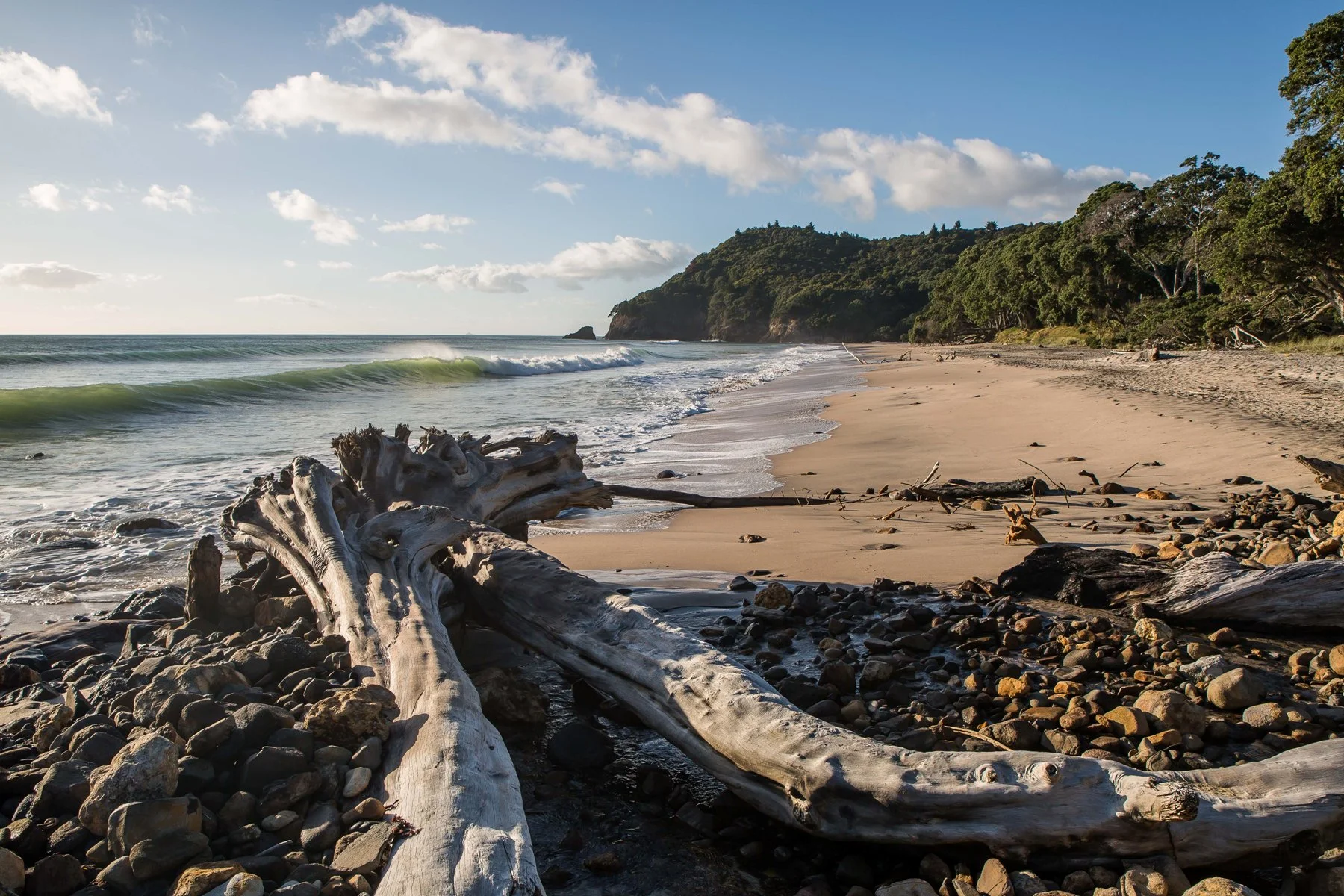 Orokawa Bay,d-176.jpg