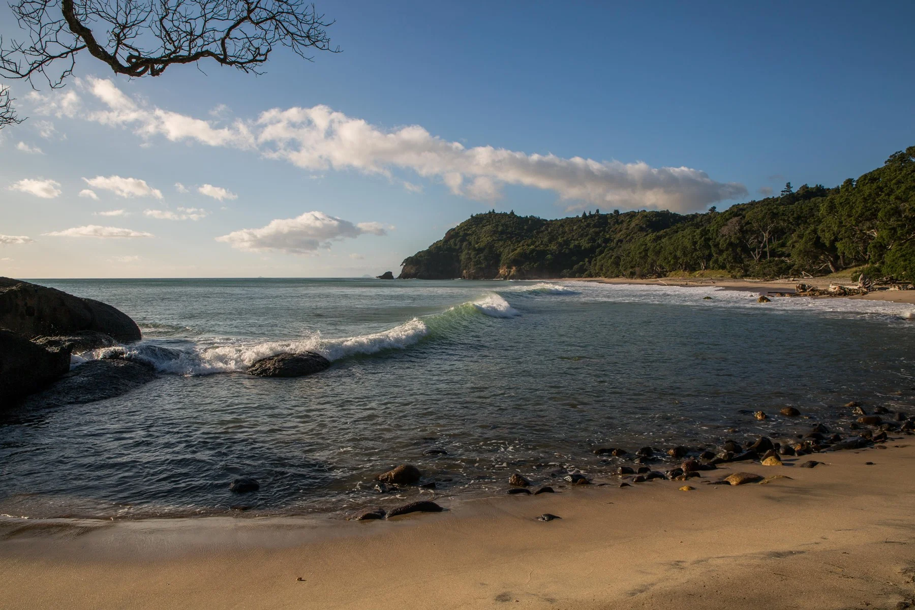 Orokawa Bay,d-189.jpg