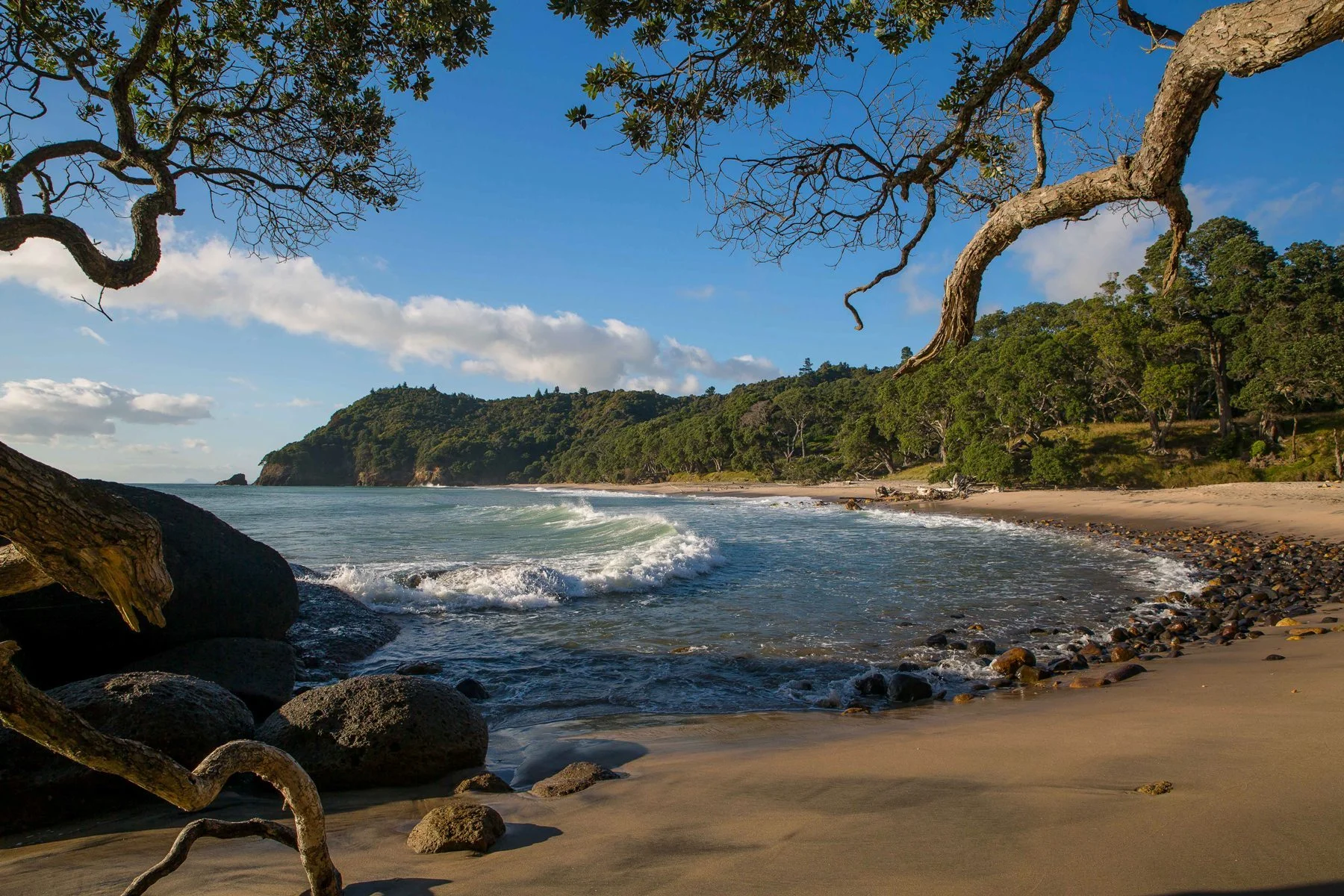 Orokawa Bay,d-193.jpg