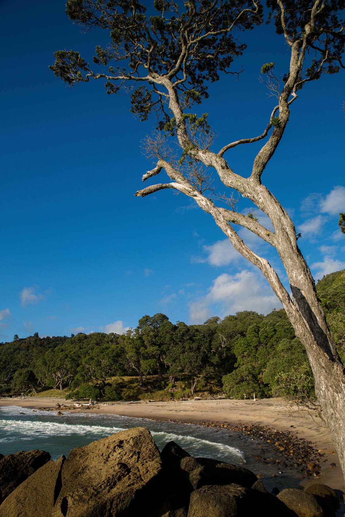 Orokawa Bay,d-208.jpg