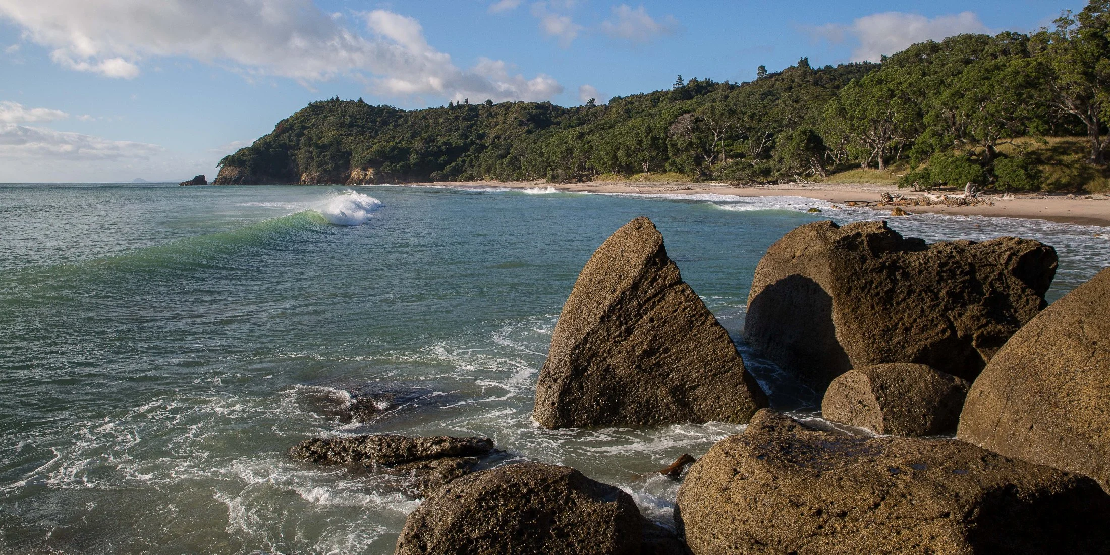 Orokawa Bay,d-216.jpg