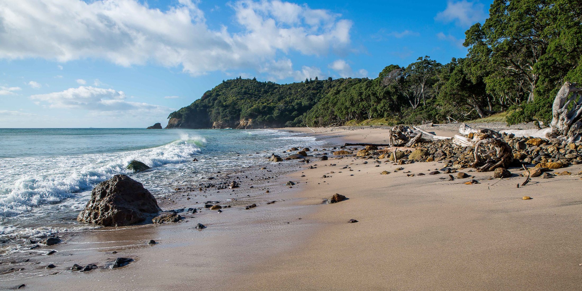 Orokawa Bay,d-225.jpg