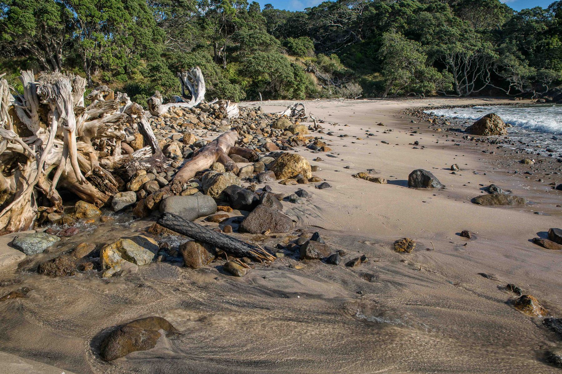 Orokawa Bay,d-227.jpg