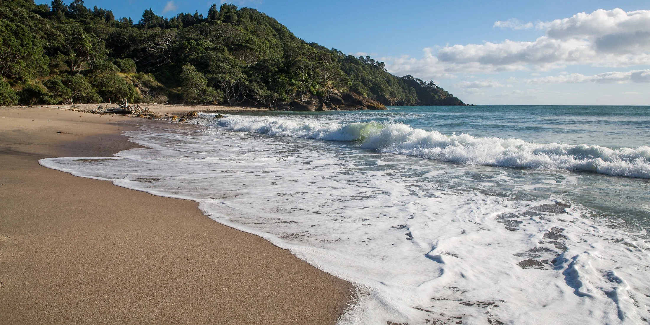 Orokawa Bay,d-229.jpg