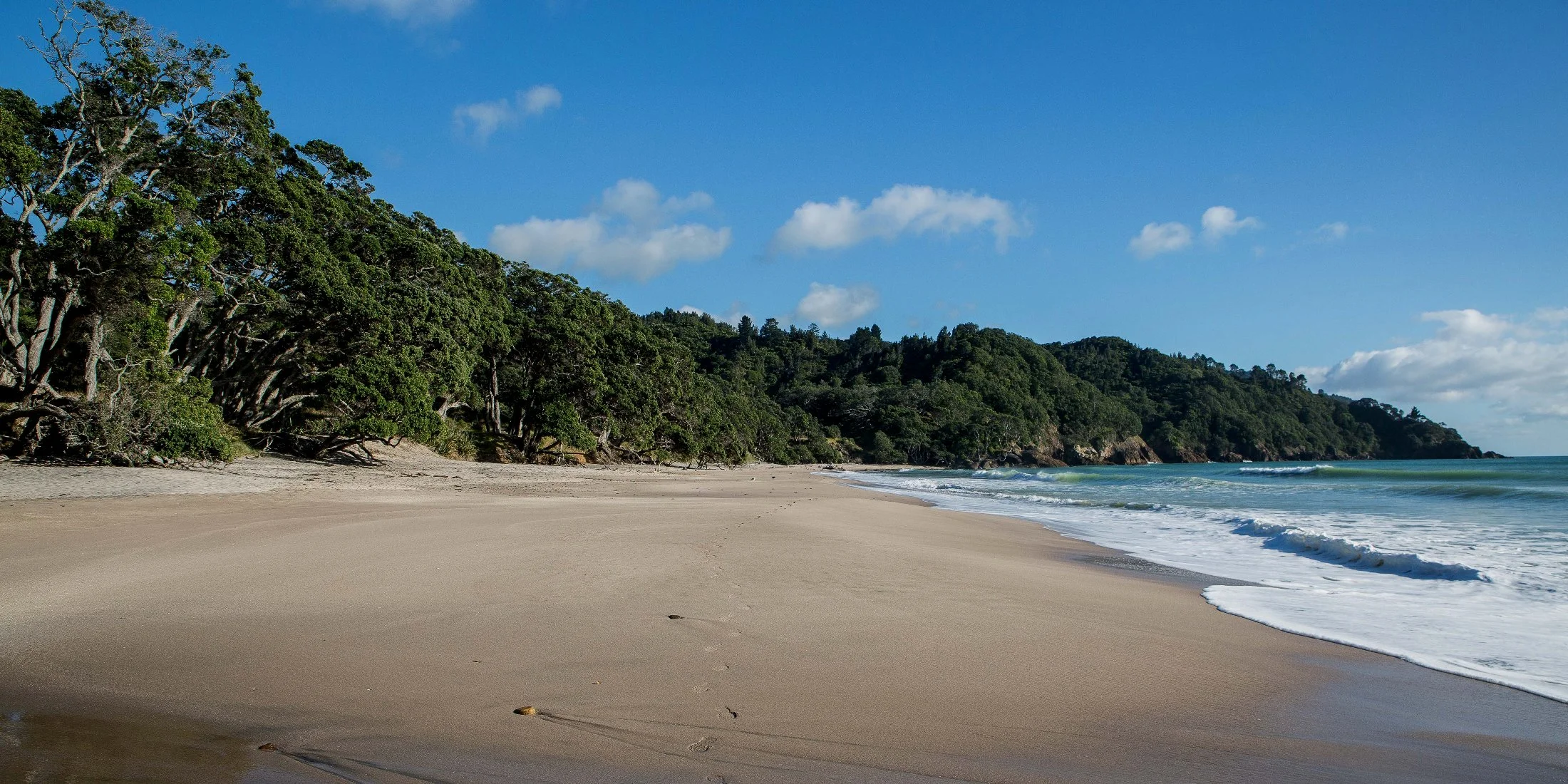 Orokawa Bay,d-230.jpg