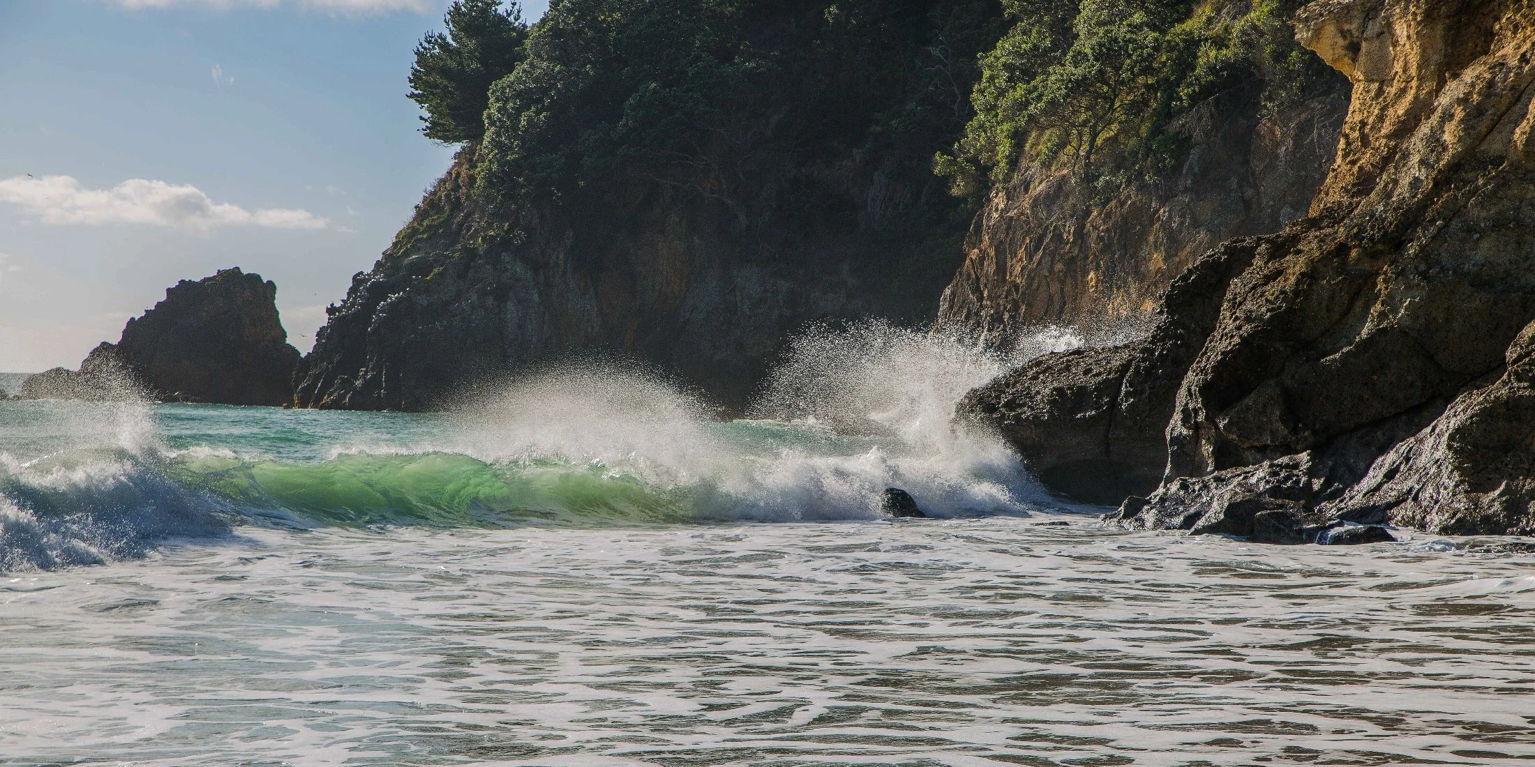 Orokawa Bay,d-239.jpg