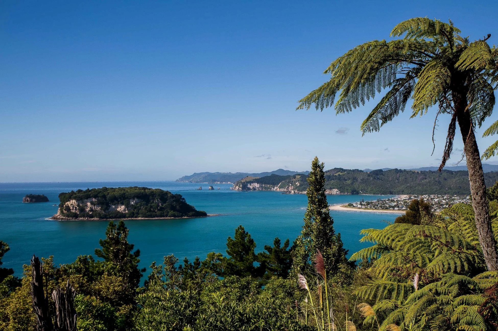 Whangamata,d-581.jpg