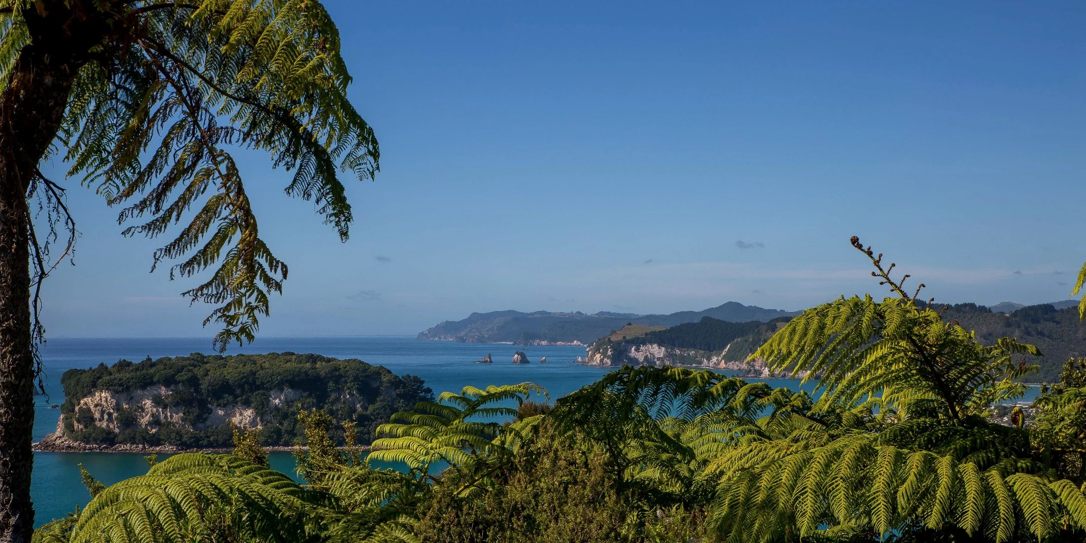 Whangamata,d-587.jpg
