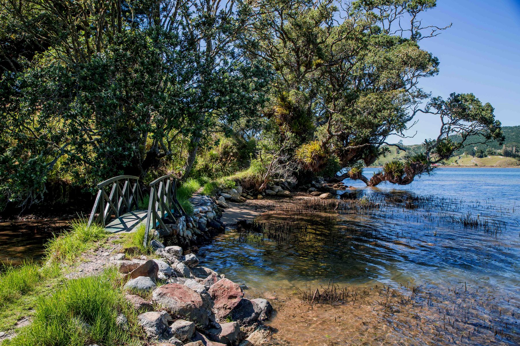 Wharekawa Harbour,d-645.jpg