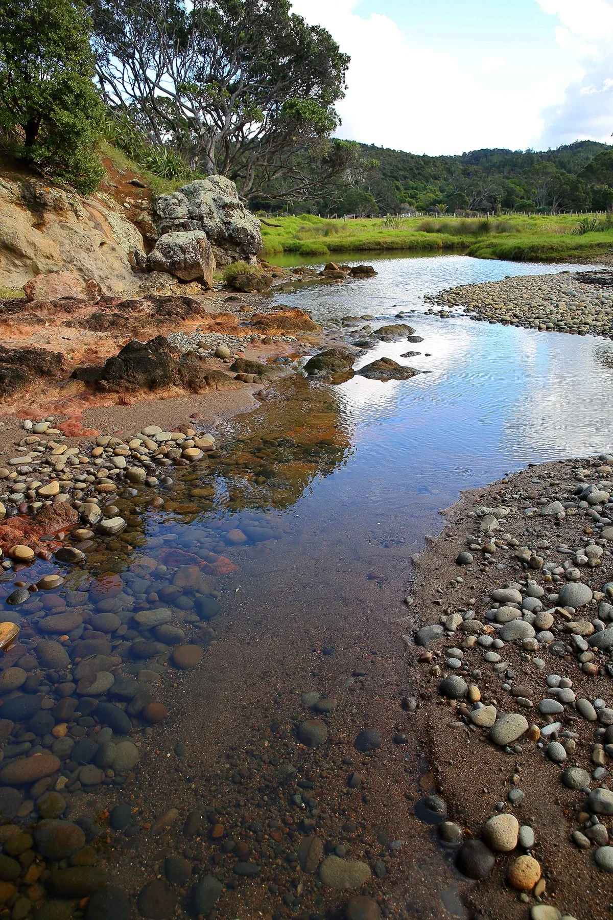 Coromandel Peninsula,d148,-.jpg