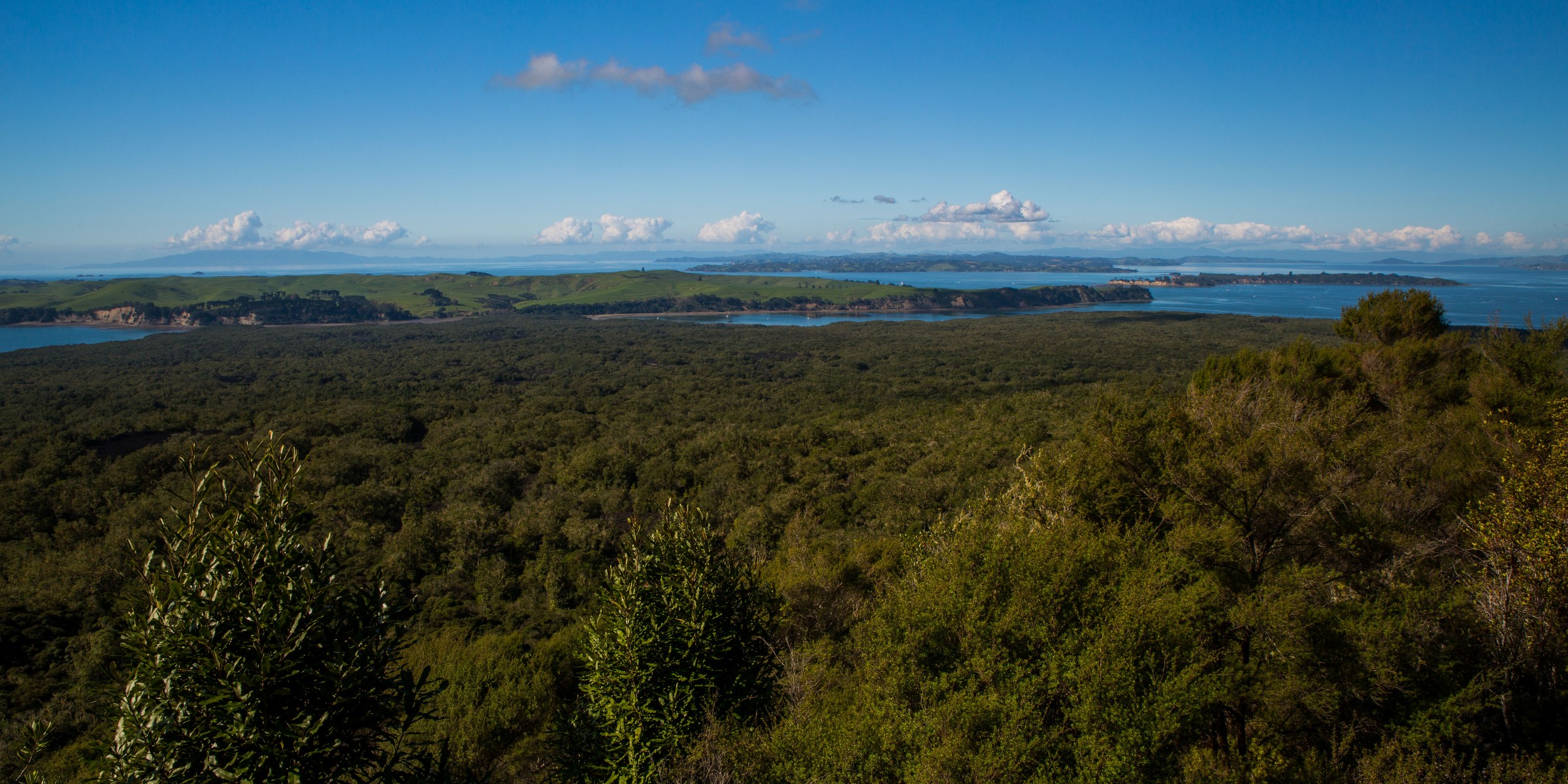 Auckland,Rangitoto,Motutapu Is,d-4891.jpg
