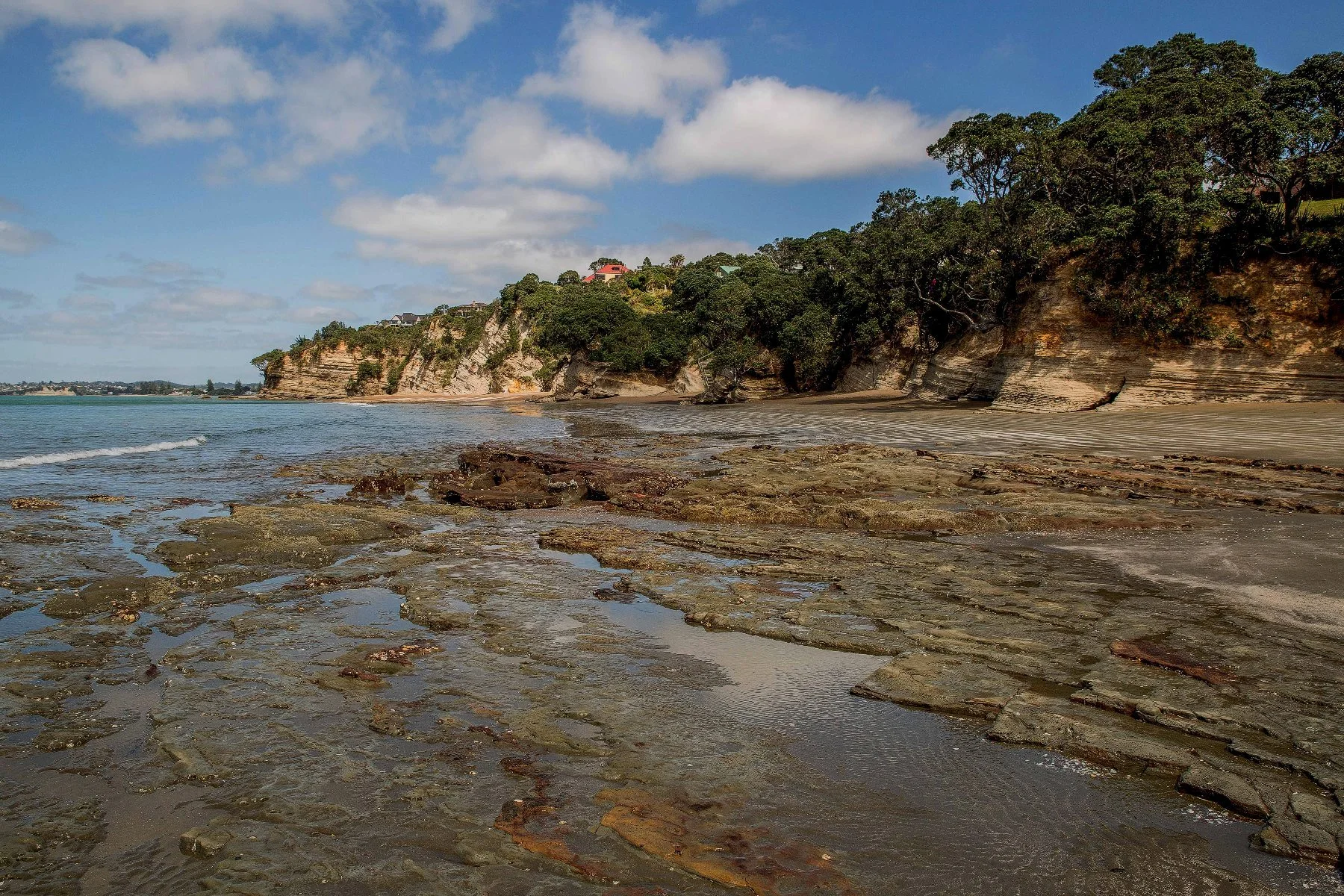 Hatfields Beach,d-003.jpg