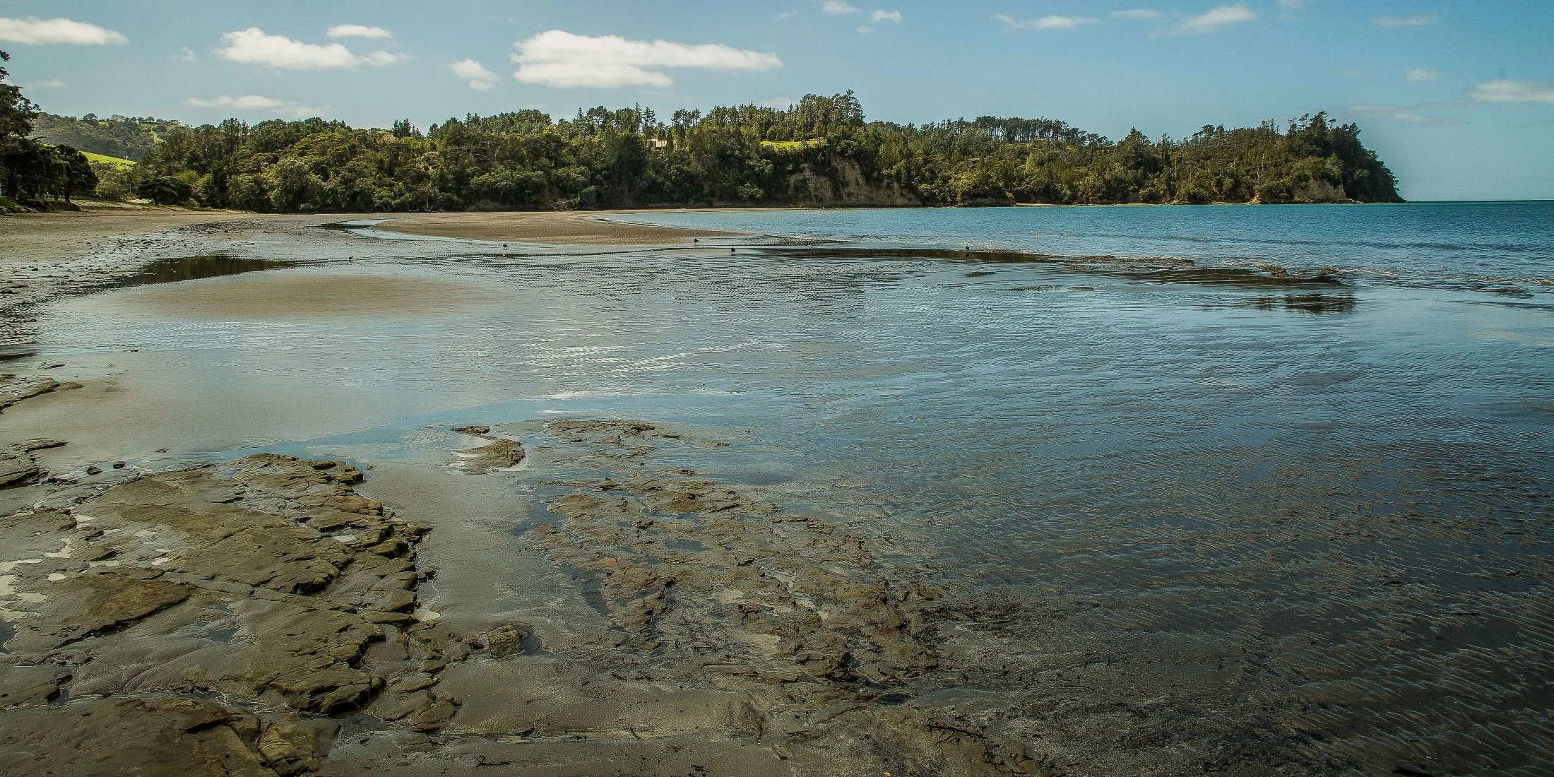 Hatfields Beach,d-002.jpg