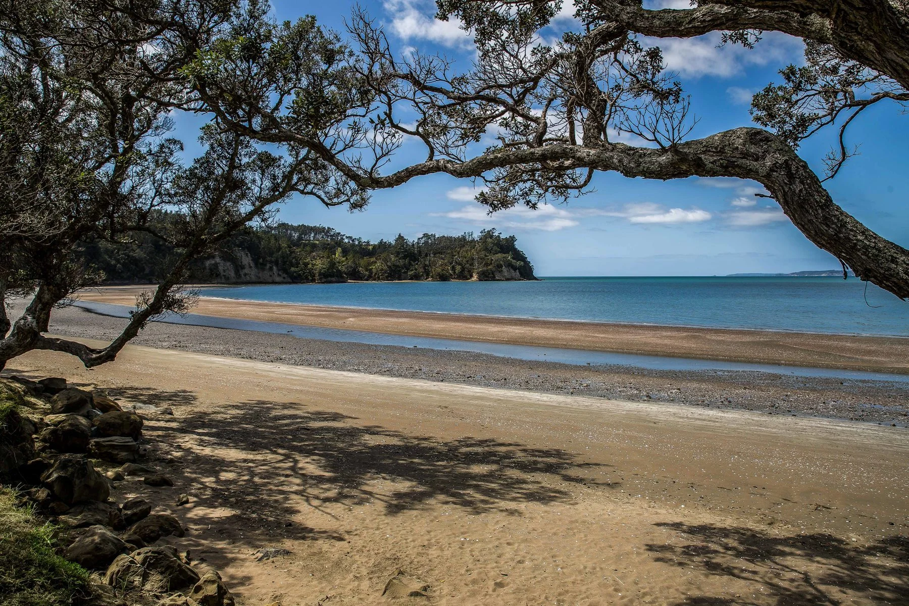 Hatfields Beach,d-010.jpg