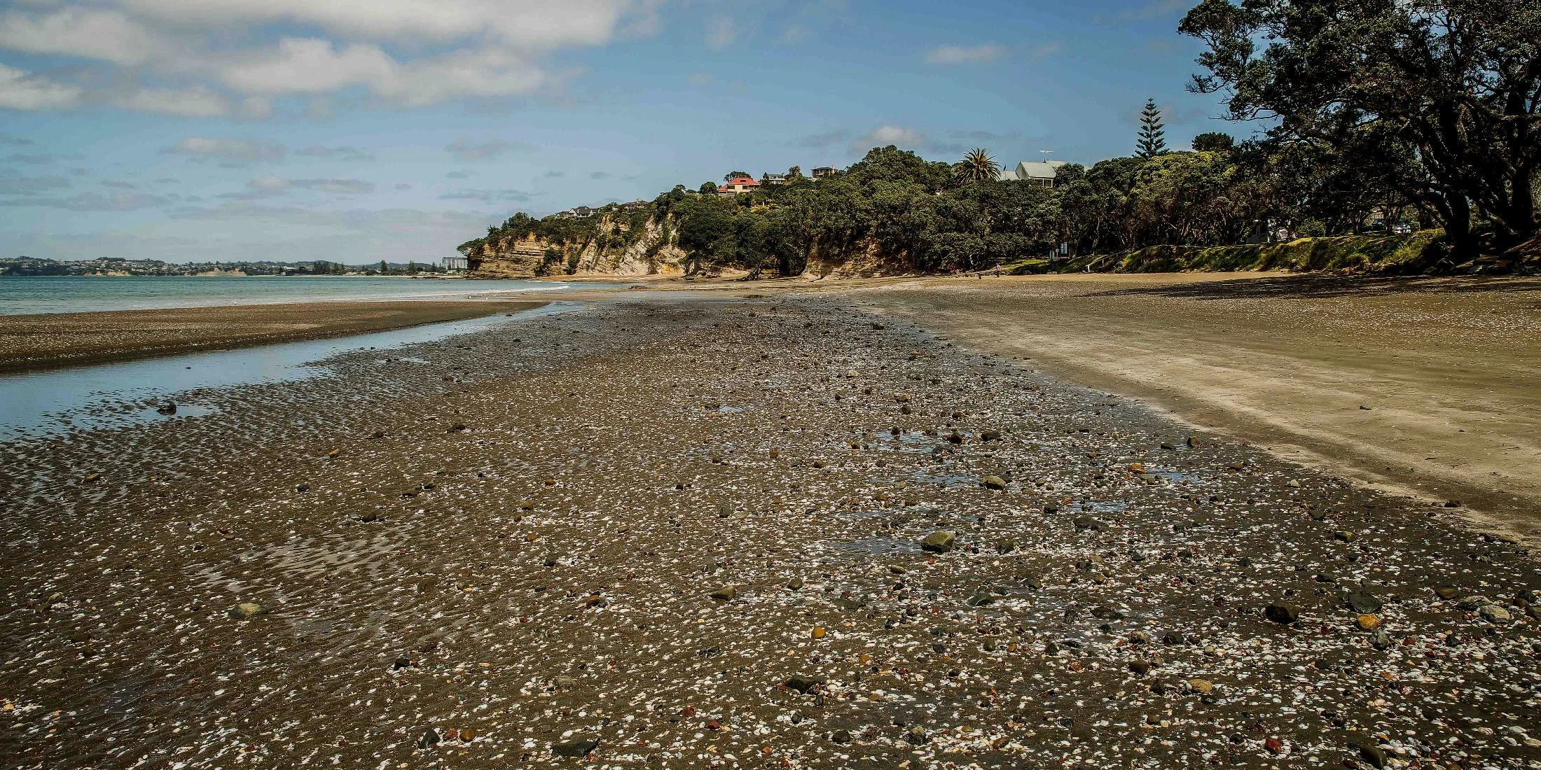 Hatfields Beach,d-013.jpg