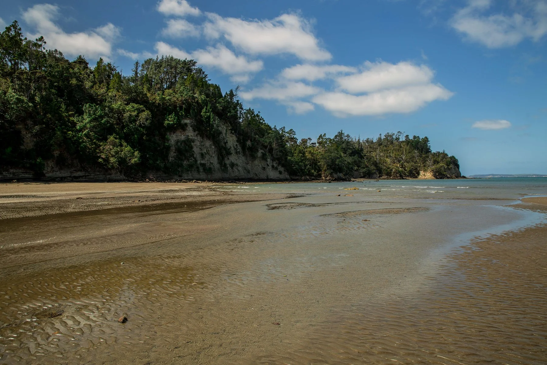 Hatfields Beach,d-027.jpg