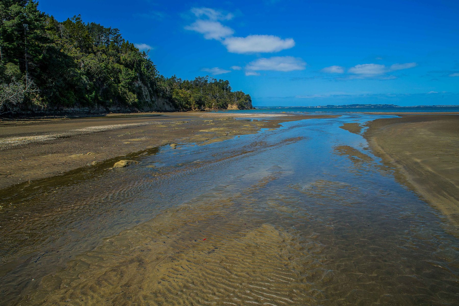 Hatfields Beach,d-032.jpg