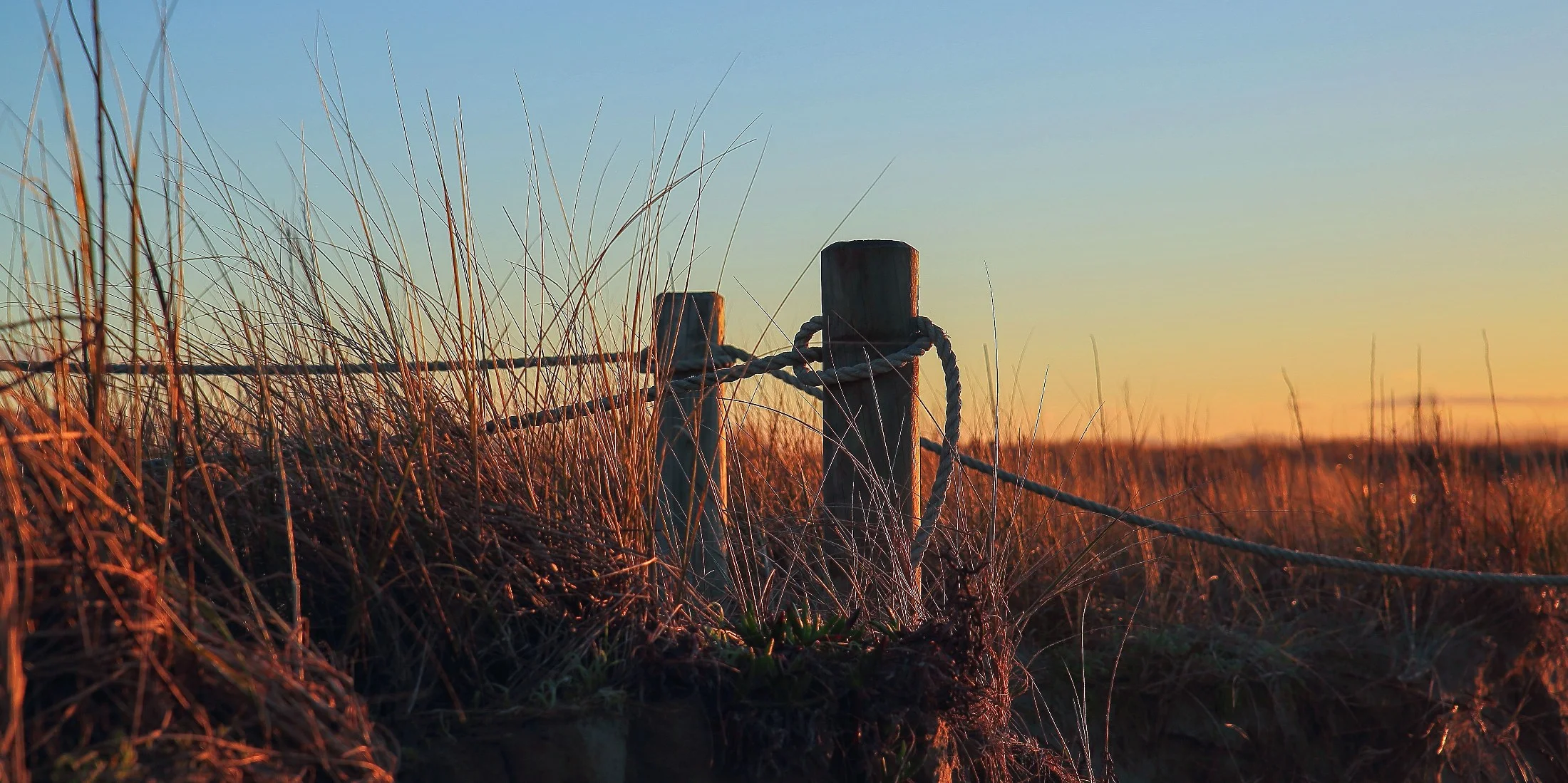 Orewa Estuary,d224,-.jpg