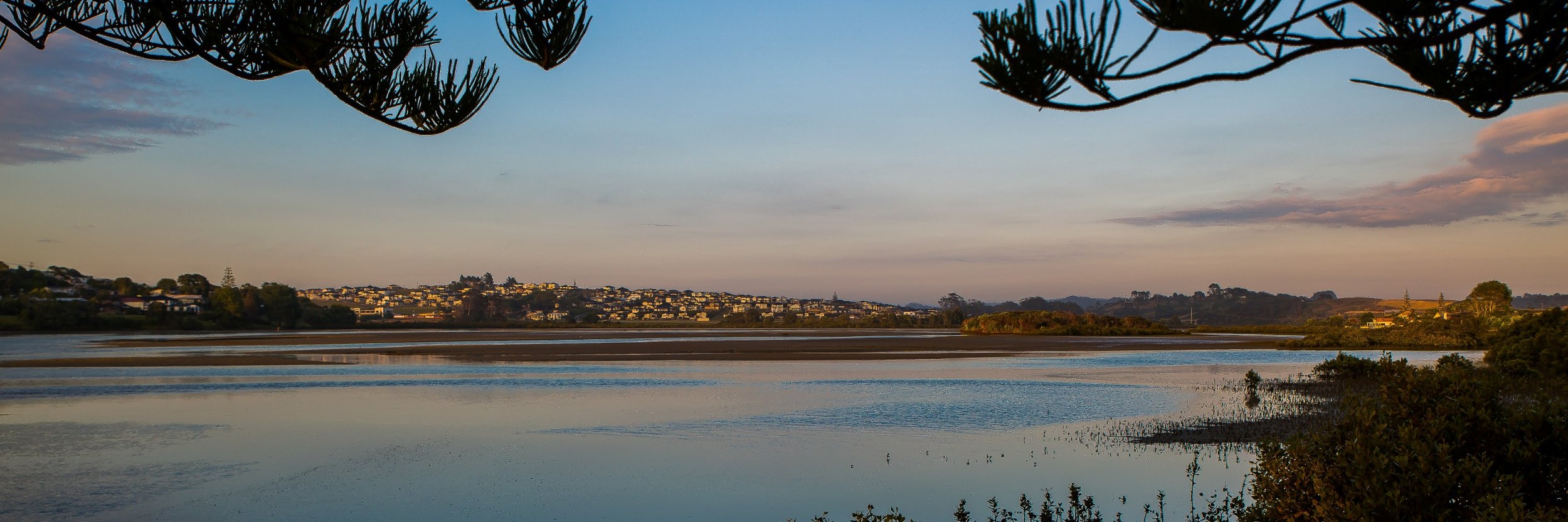 Orewa Estuary,d-242.jpg