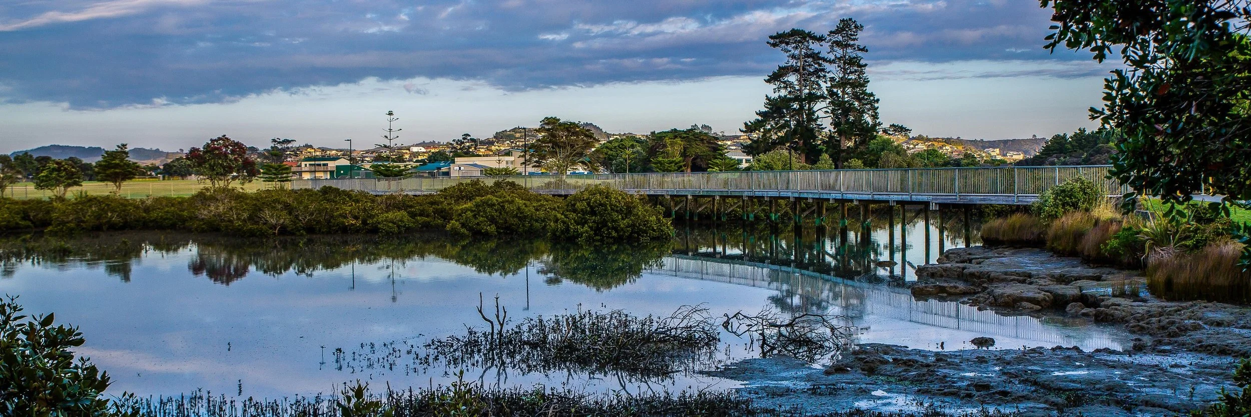 Orewa Estuary,d-250.jpg