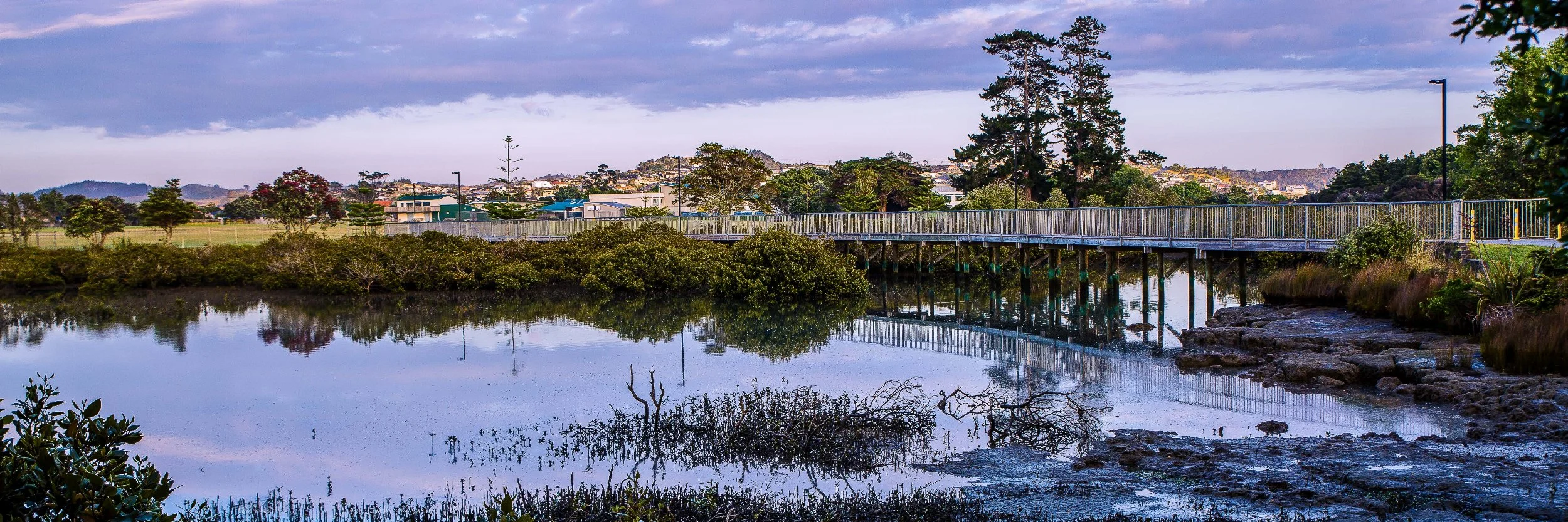 Orewa Estuary,d-251.jpg