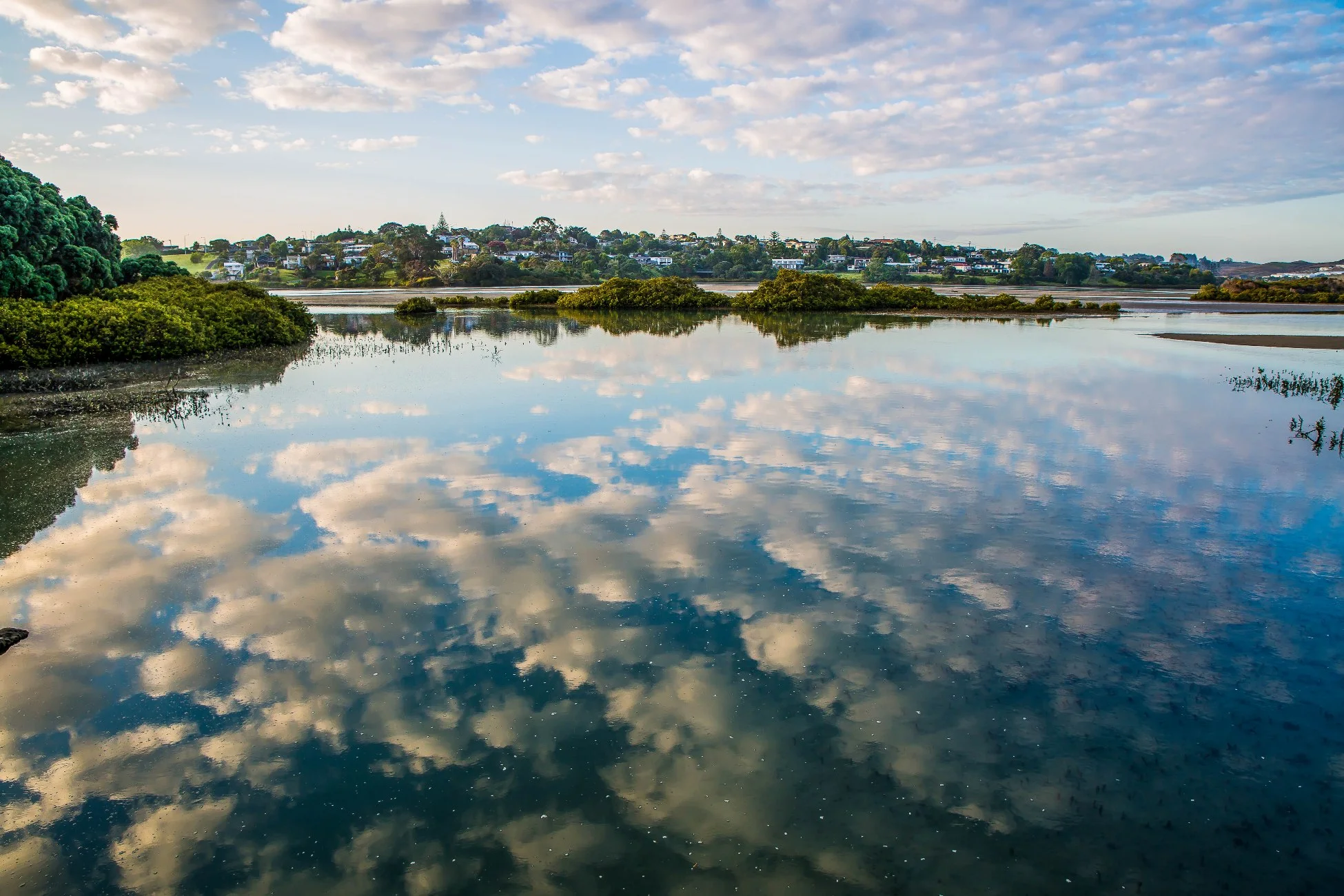 Orewa Estuary,d-256.jpg
