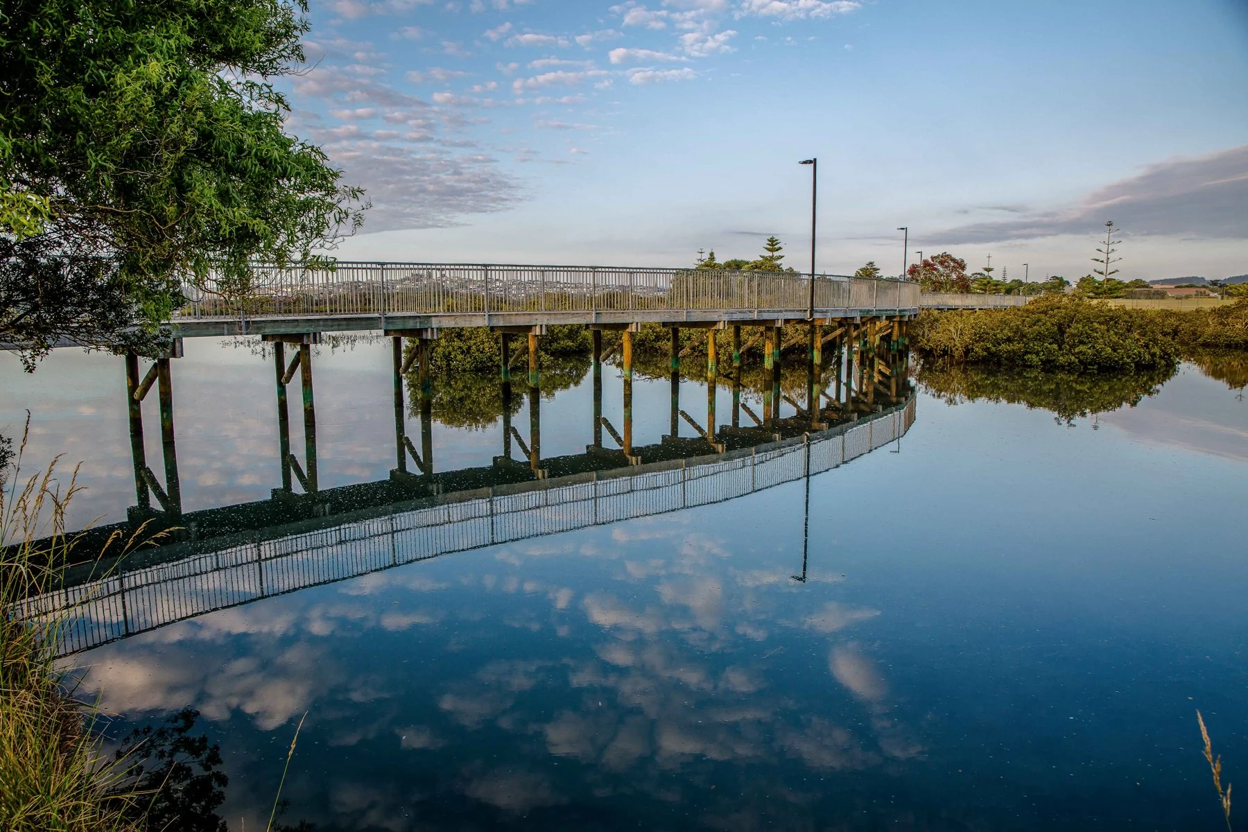 Orewa Estuary,d-265.jpg