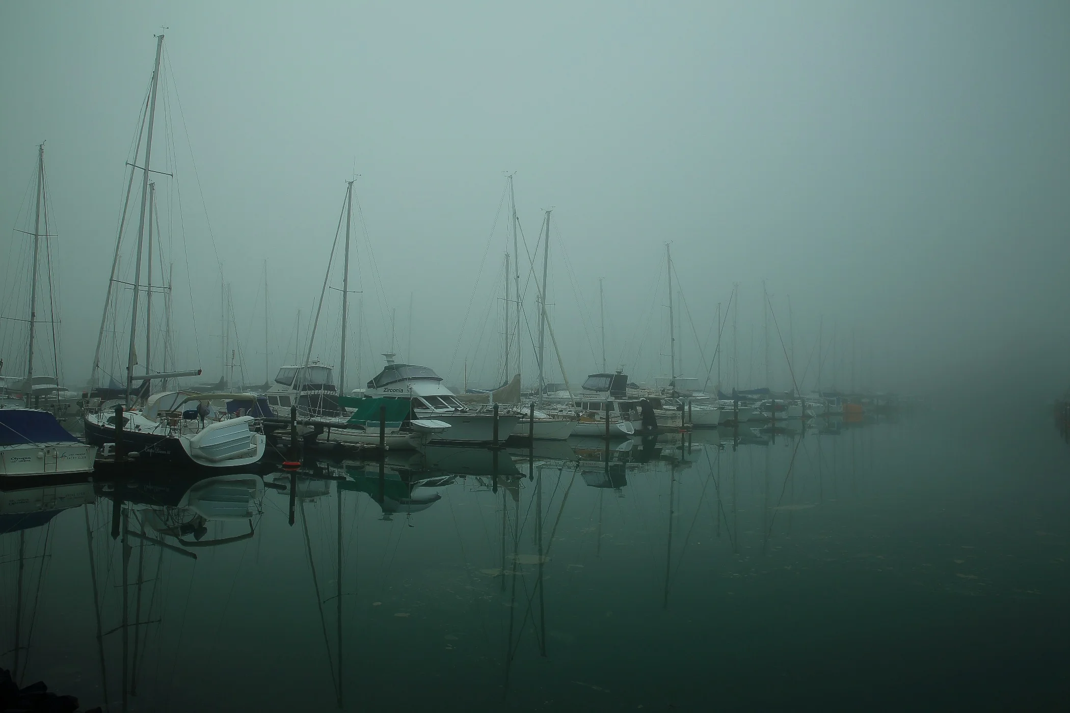 Gulf Harbour,d-104.jpg