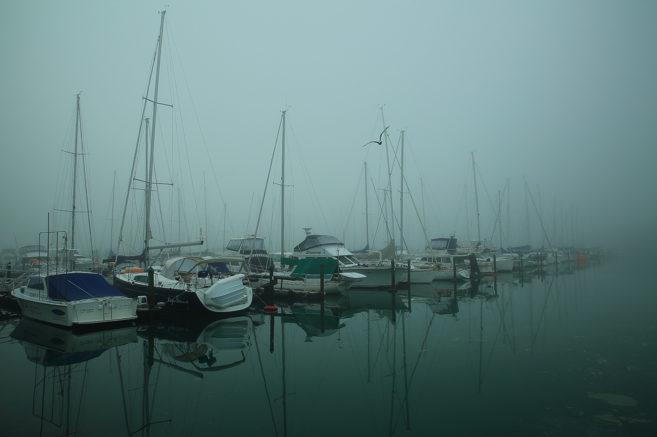 Gulf Harbour,d-105.jpg