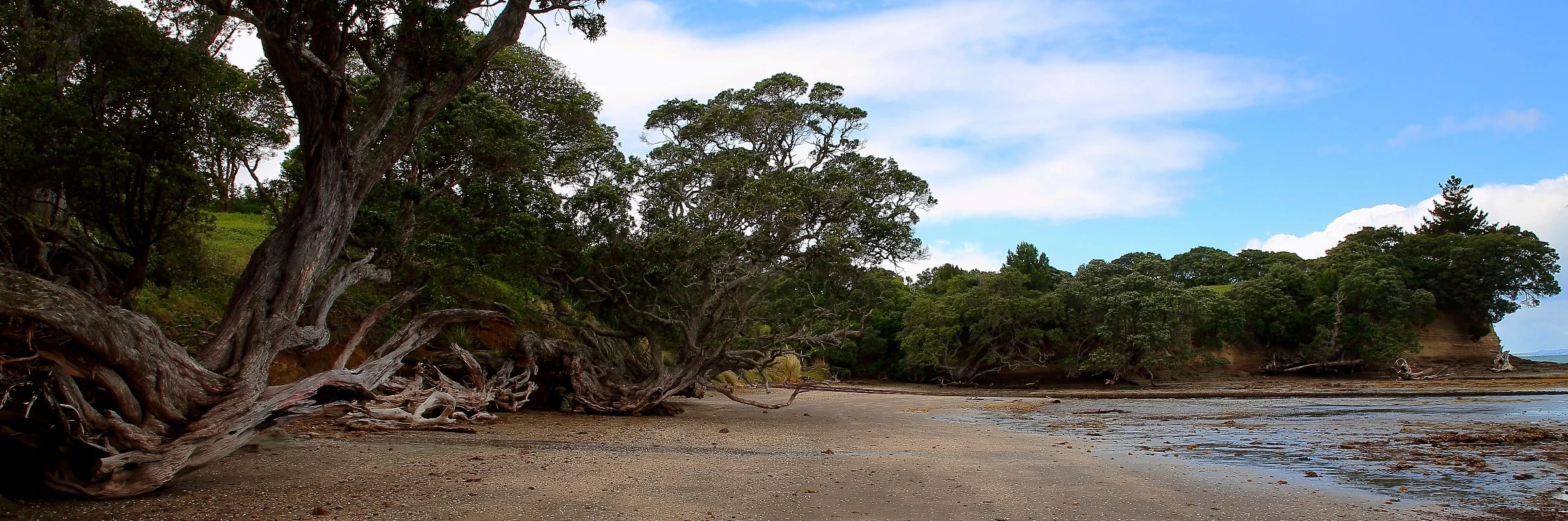 Hobbs Bay,d237,-.jpg