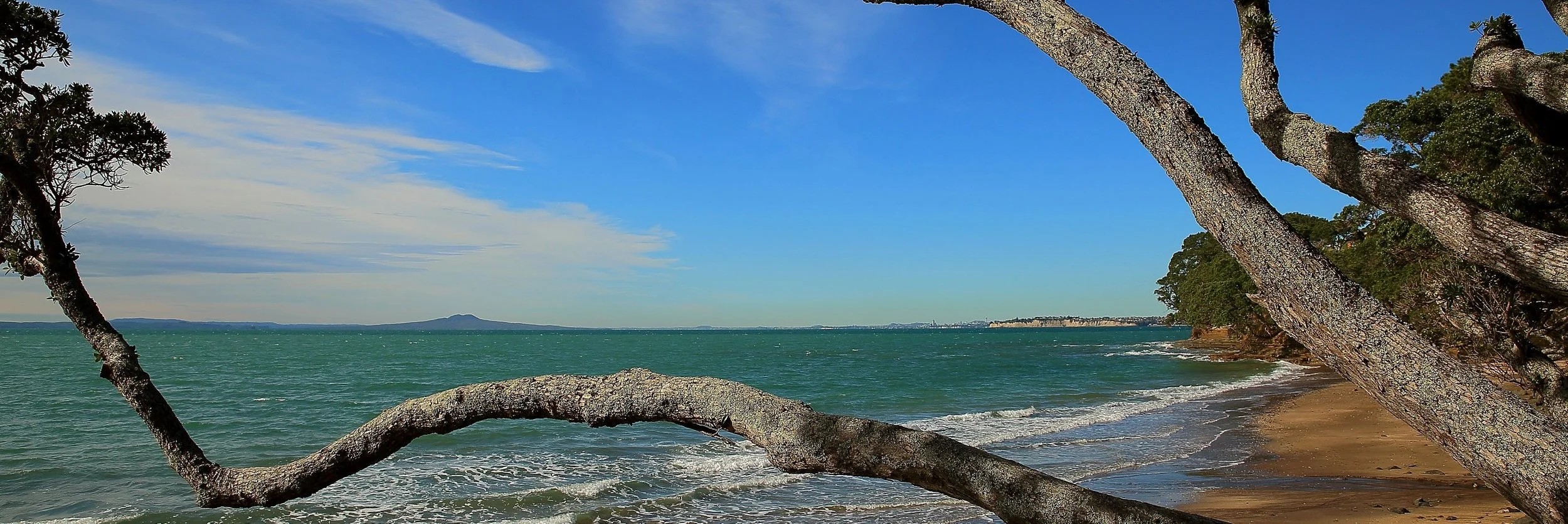 Little Manly,d006,-.jpg