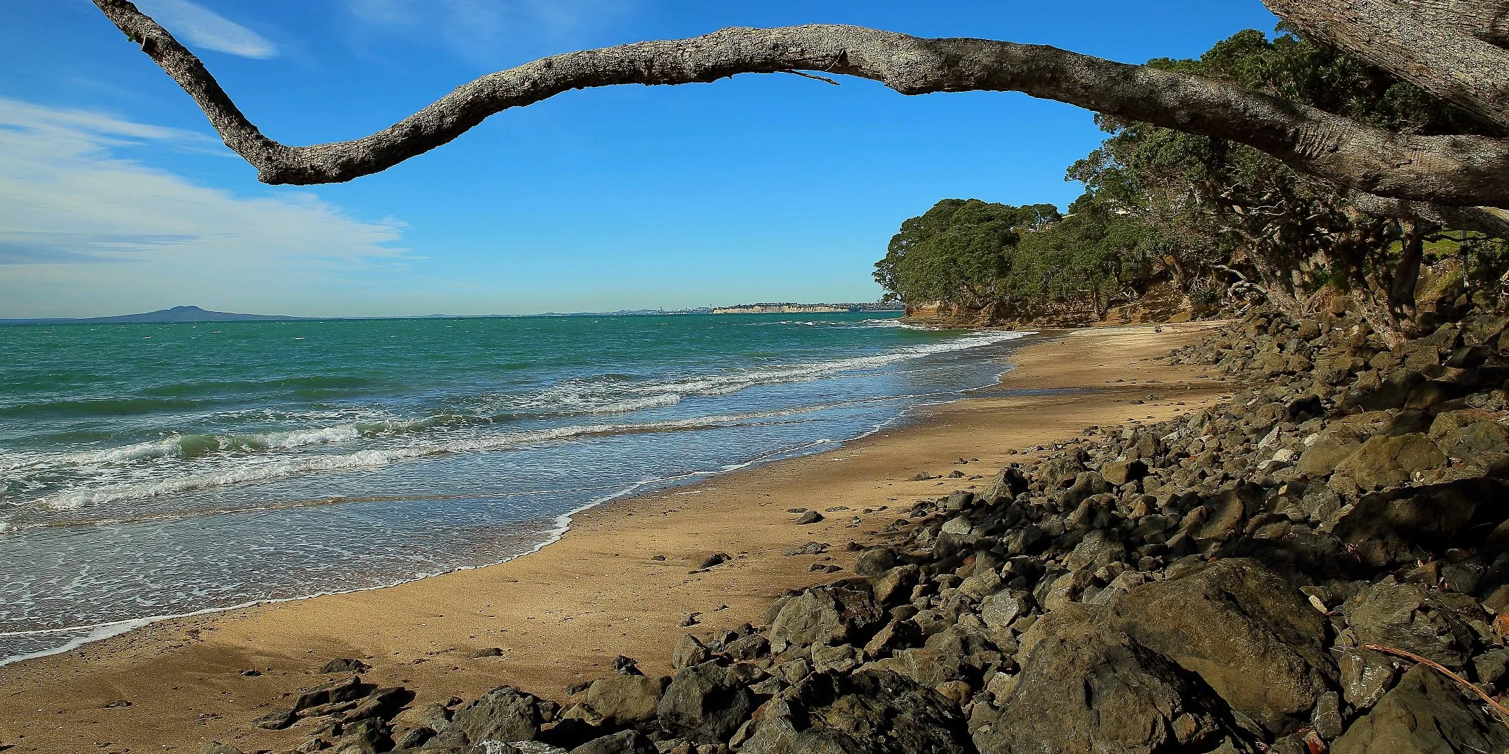 Little Manly,d007,-.jpg