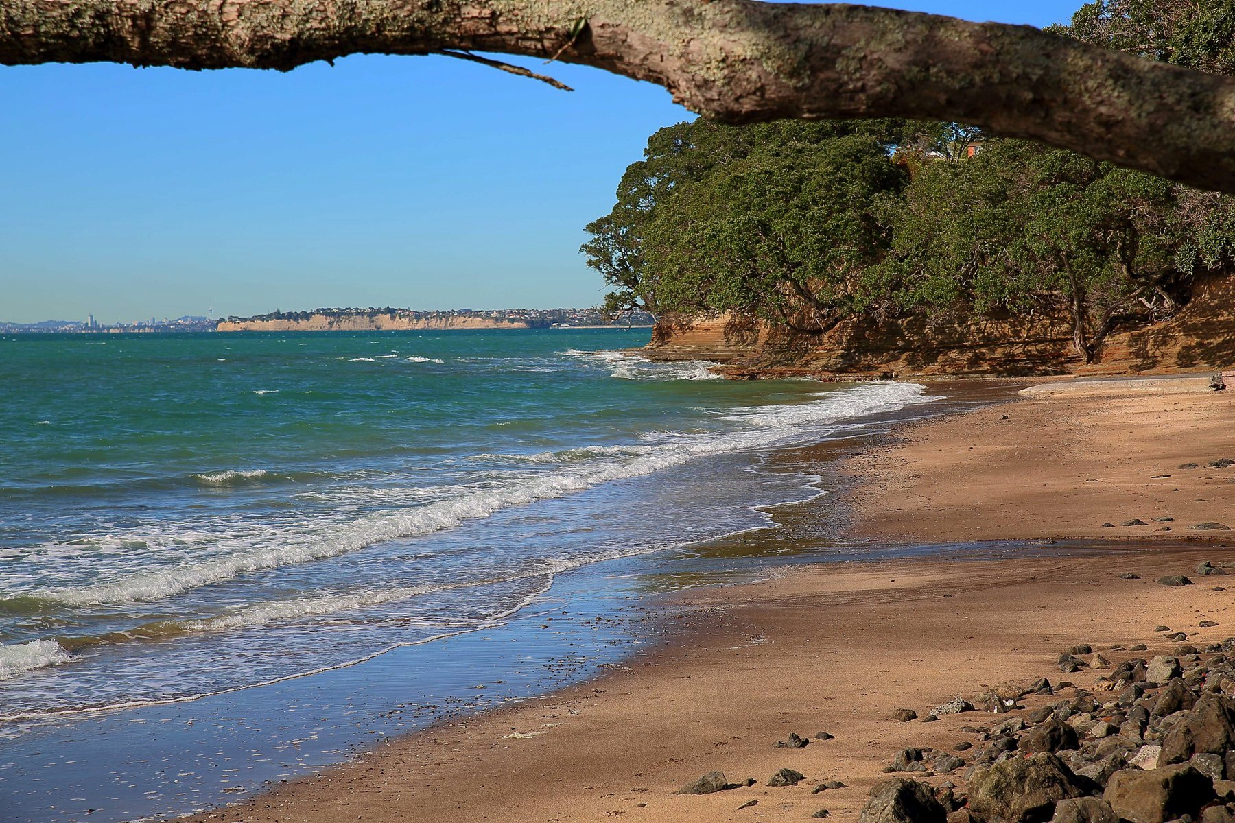 Little Manly,d-008.jpg