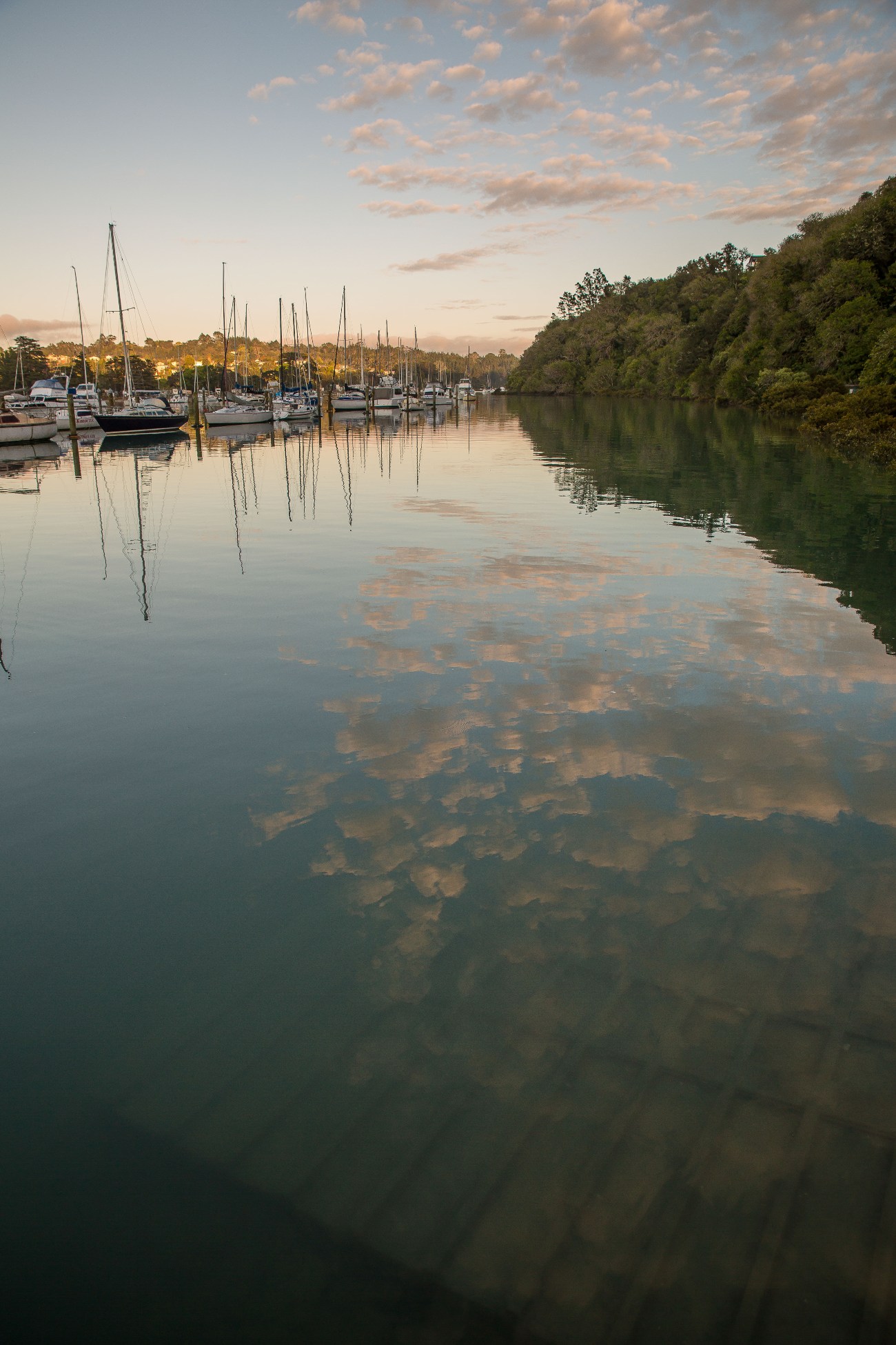 Weiti River,d-002.jpg