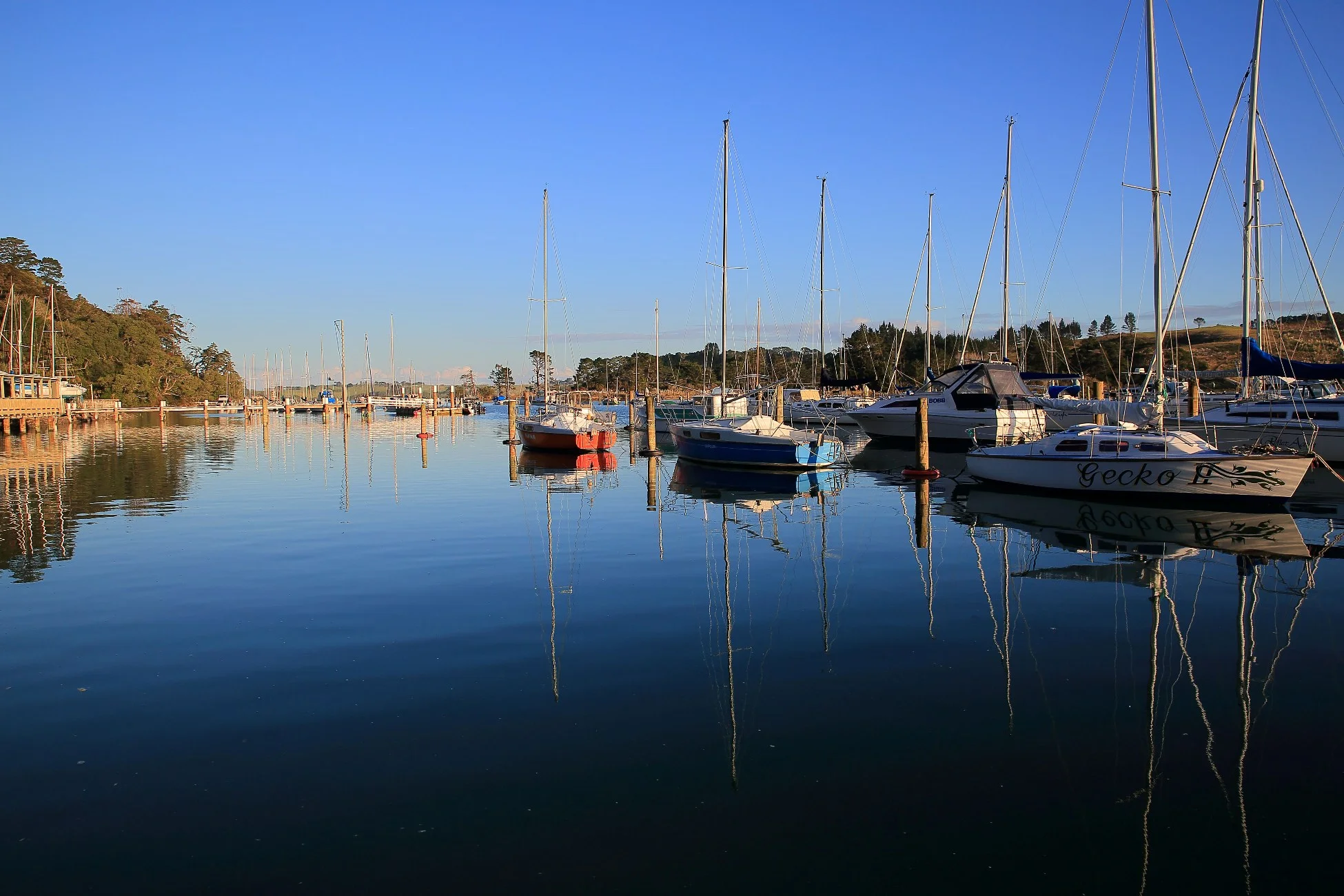 Weiti River,d-139.jpg