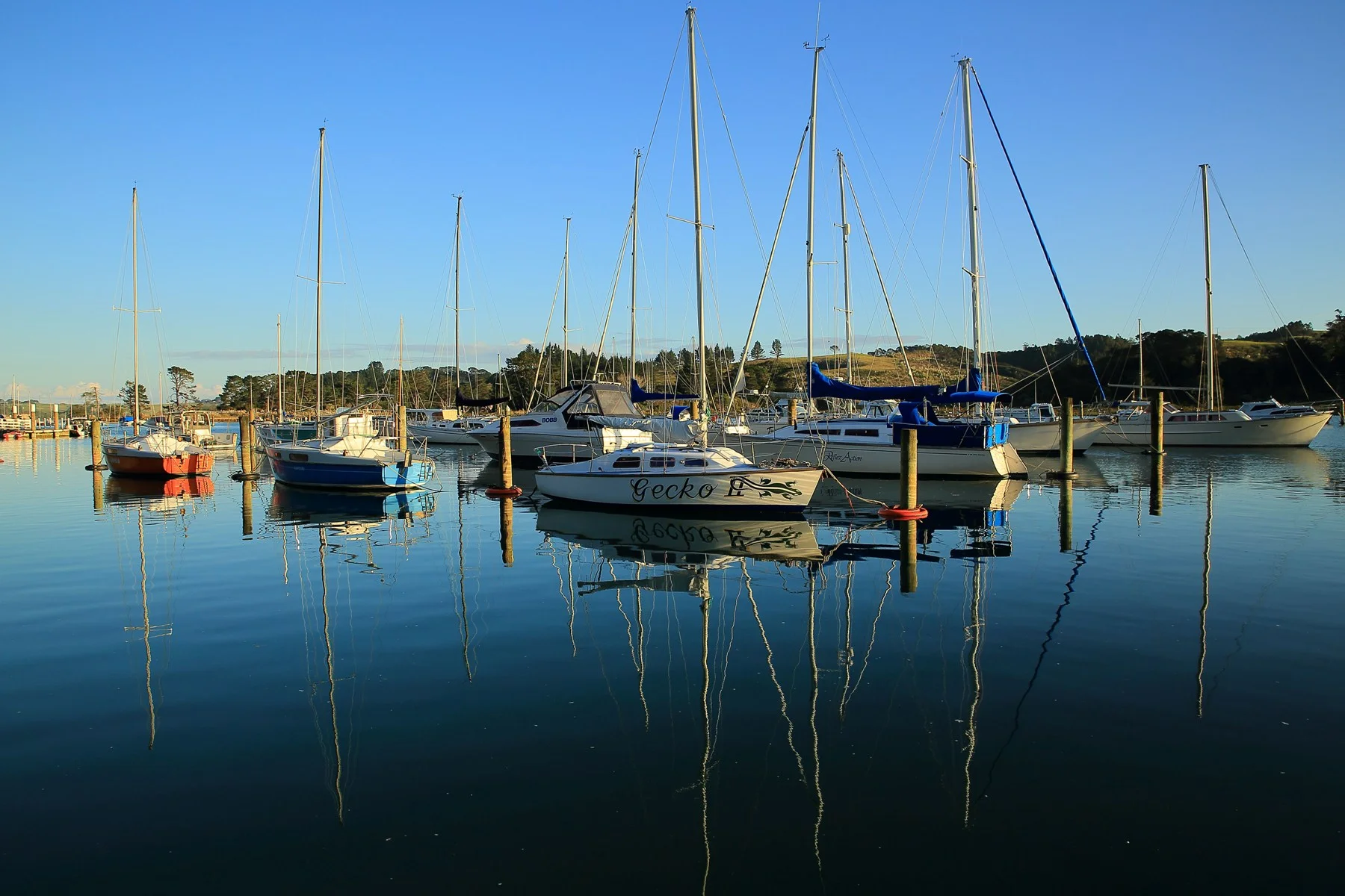 Weiti River,d-143.jpg