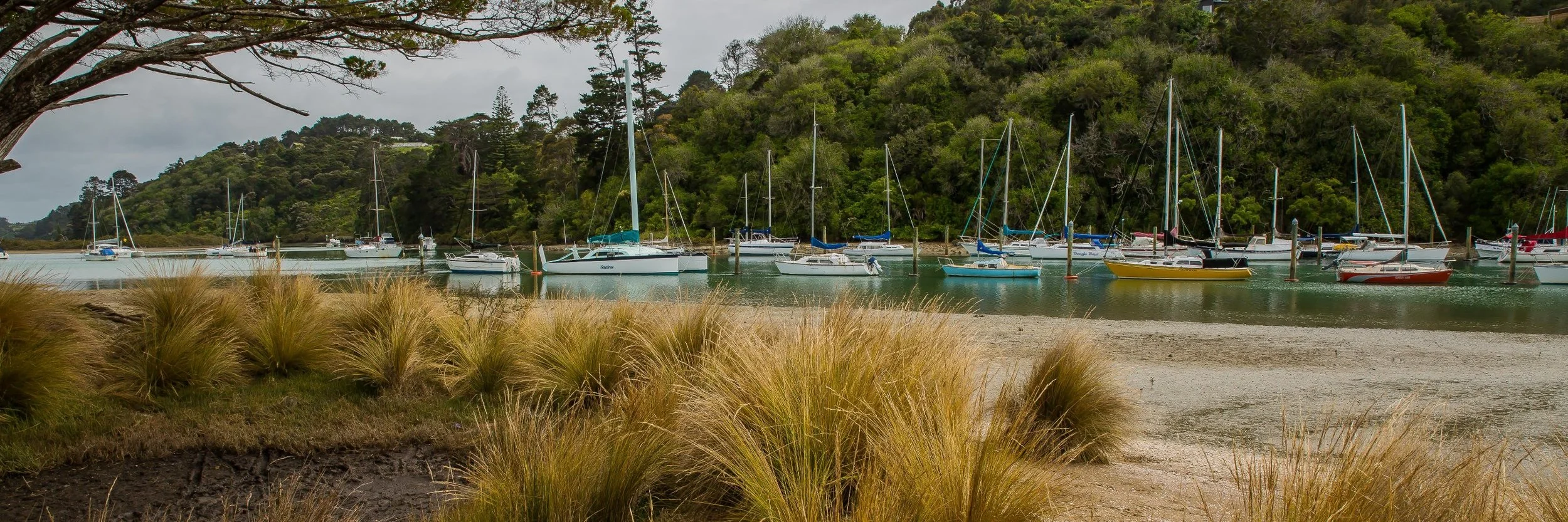 Weiti River,d-140.jpg