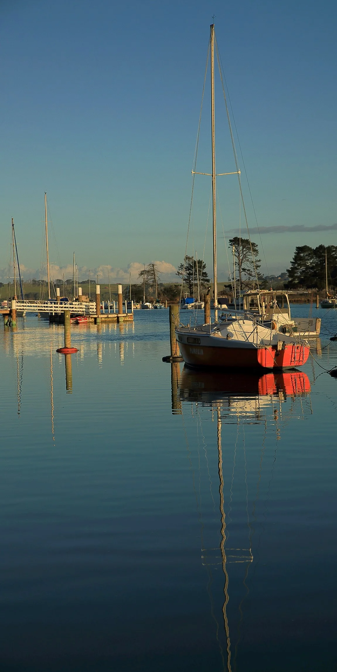 Weiti River,d145,-0.jpg